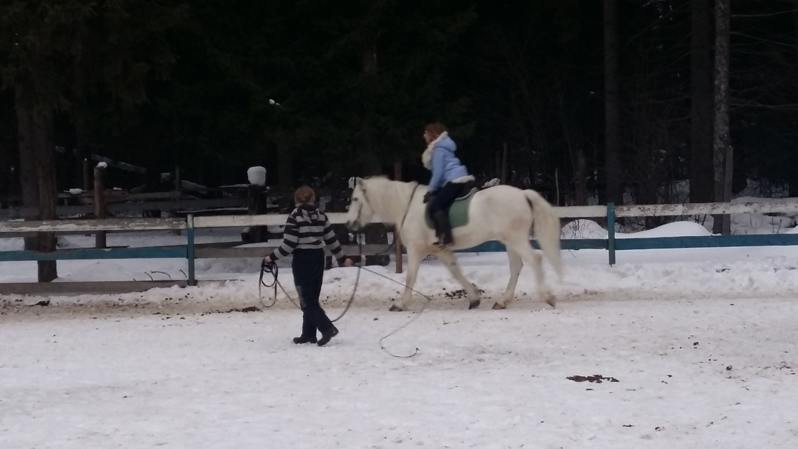 Активные выходные |18-19.02.2017. Галерея Фантим