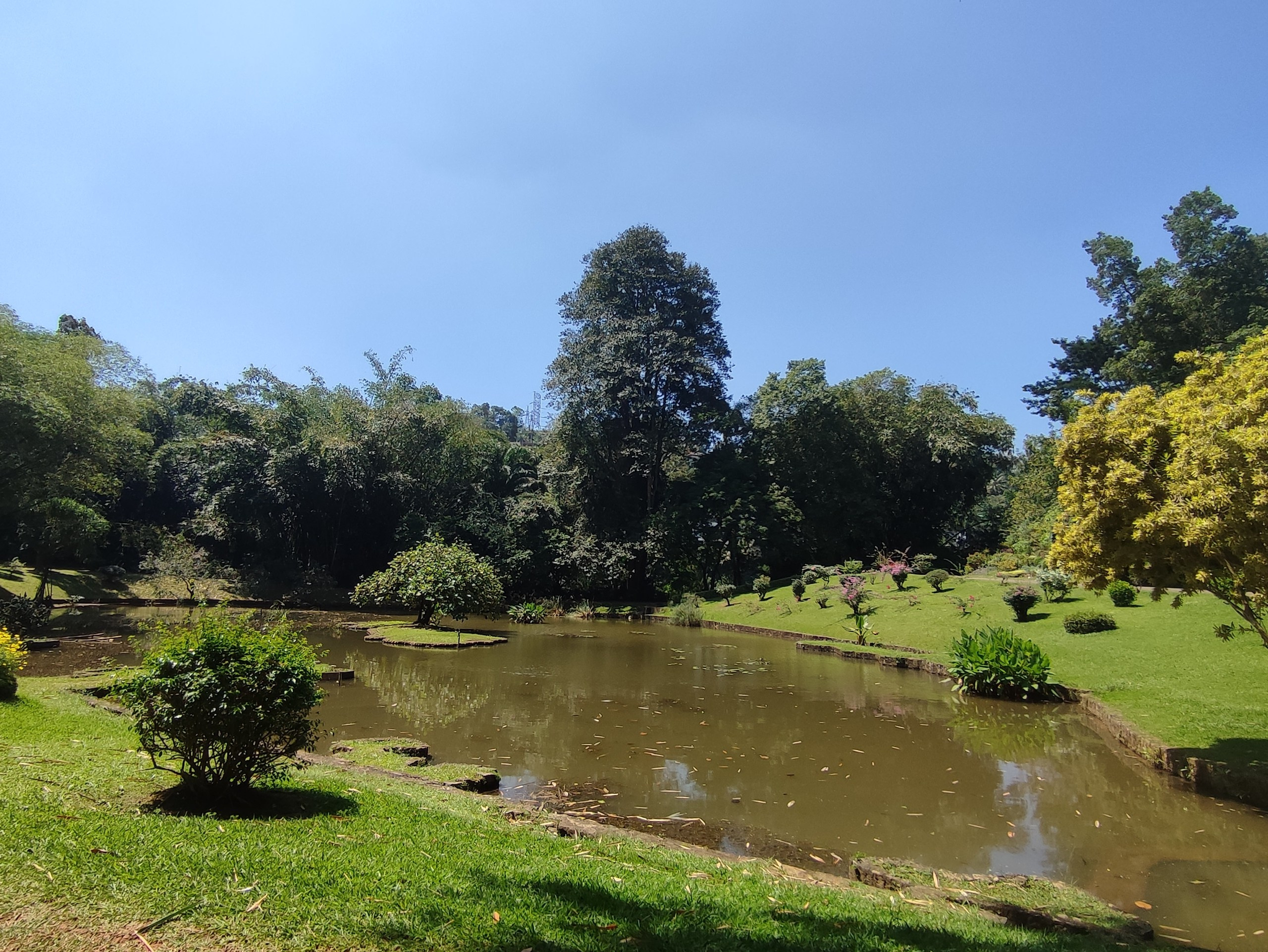 Шри-Ланка | 31.01 — 10.02.2025. Галерея Фантим