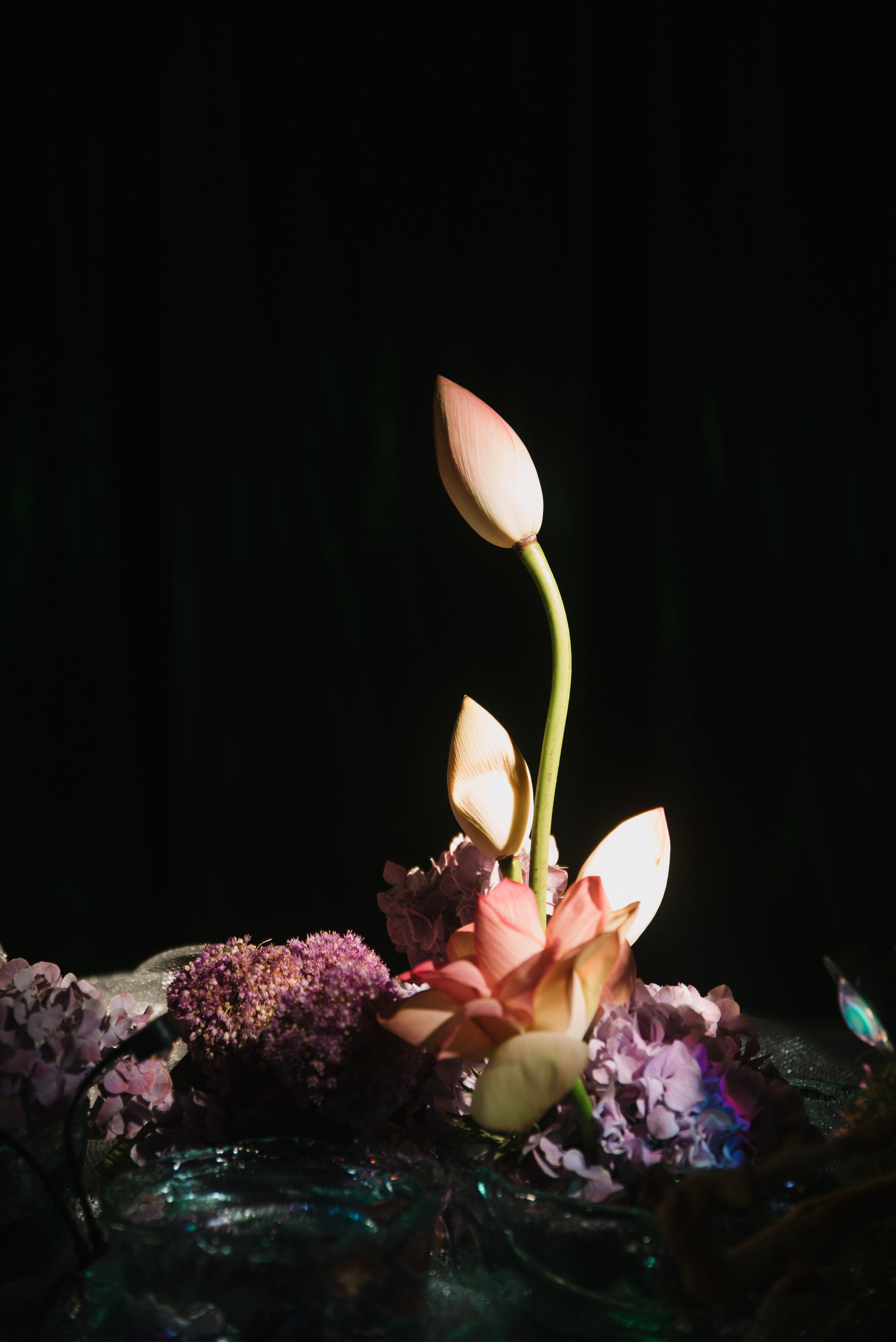 Андрей & Алёна. Свадебный, семейный, женский фотограф в Москве, Мытищах, Королёве Ксения Узилле