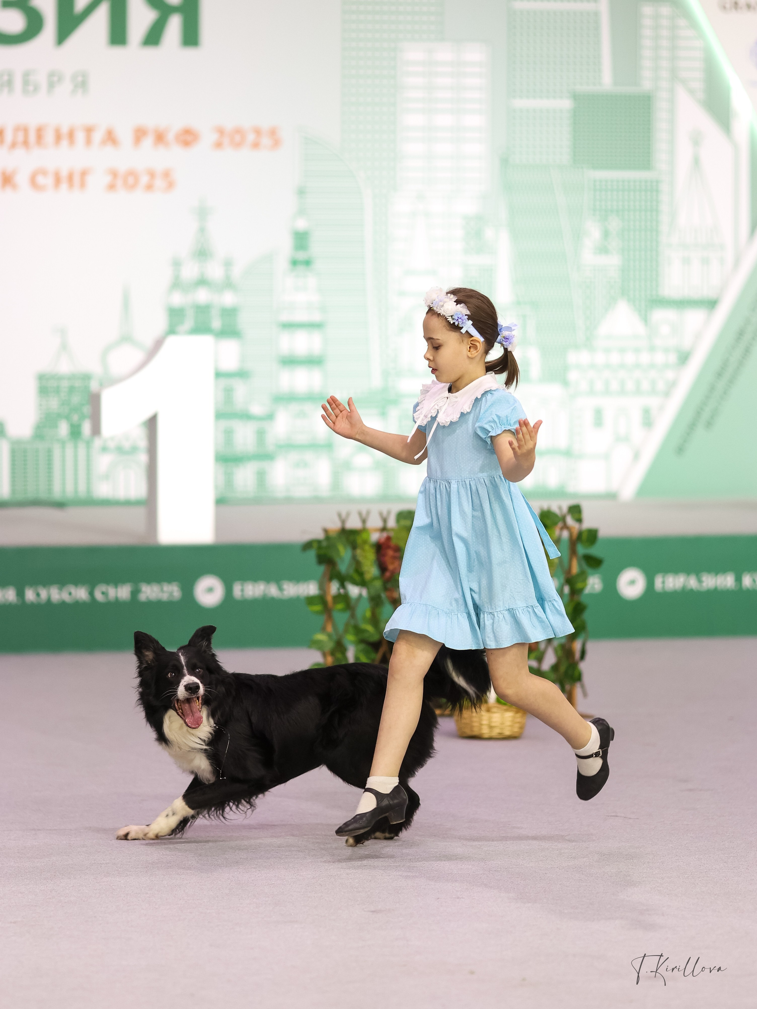 Евразия 2025. Фотограф-анималист в Москве Кириллова Татьяна