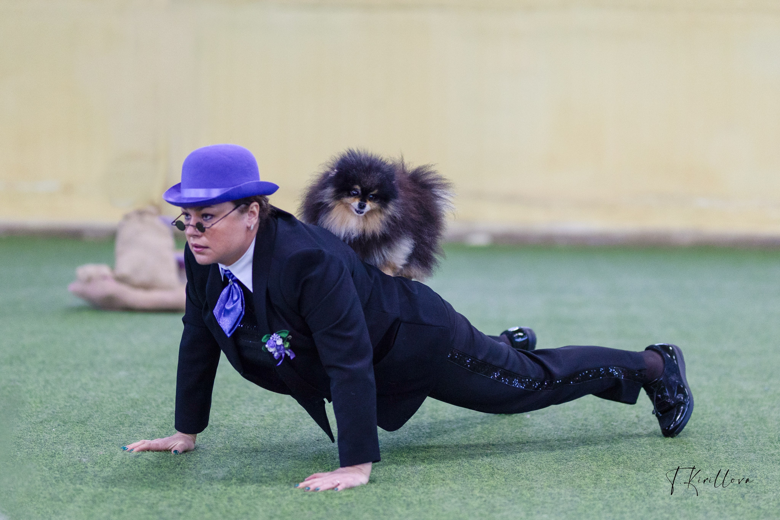 Соревнования танцы. Фотограф-анималист в Москве Кириллова Татьяна