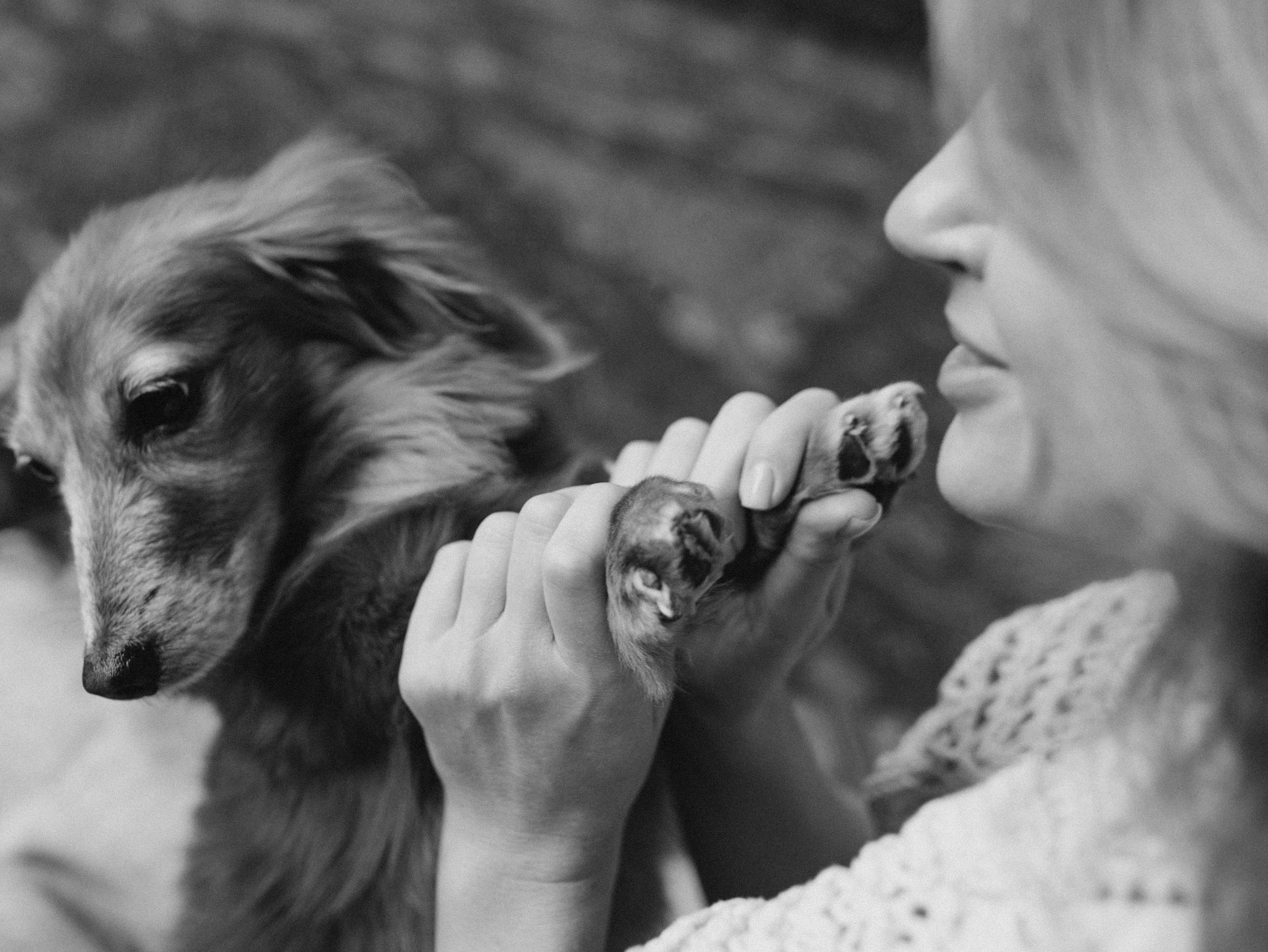 Лимон и Аня. Фотограф-анималист в Москве Кириллова Татьяна