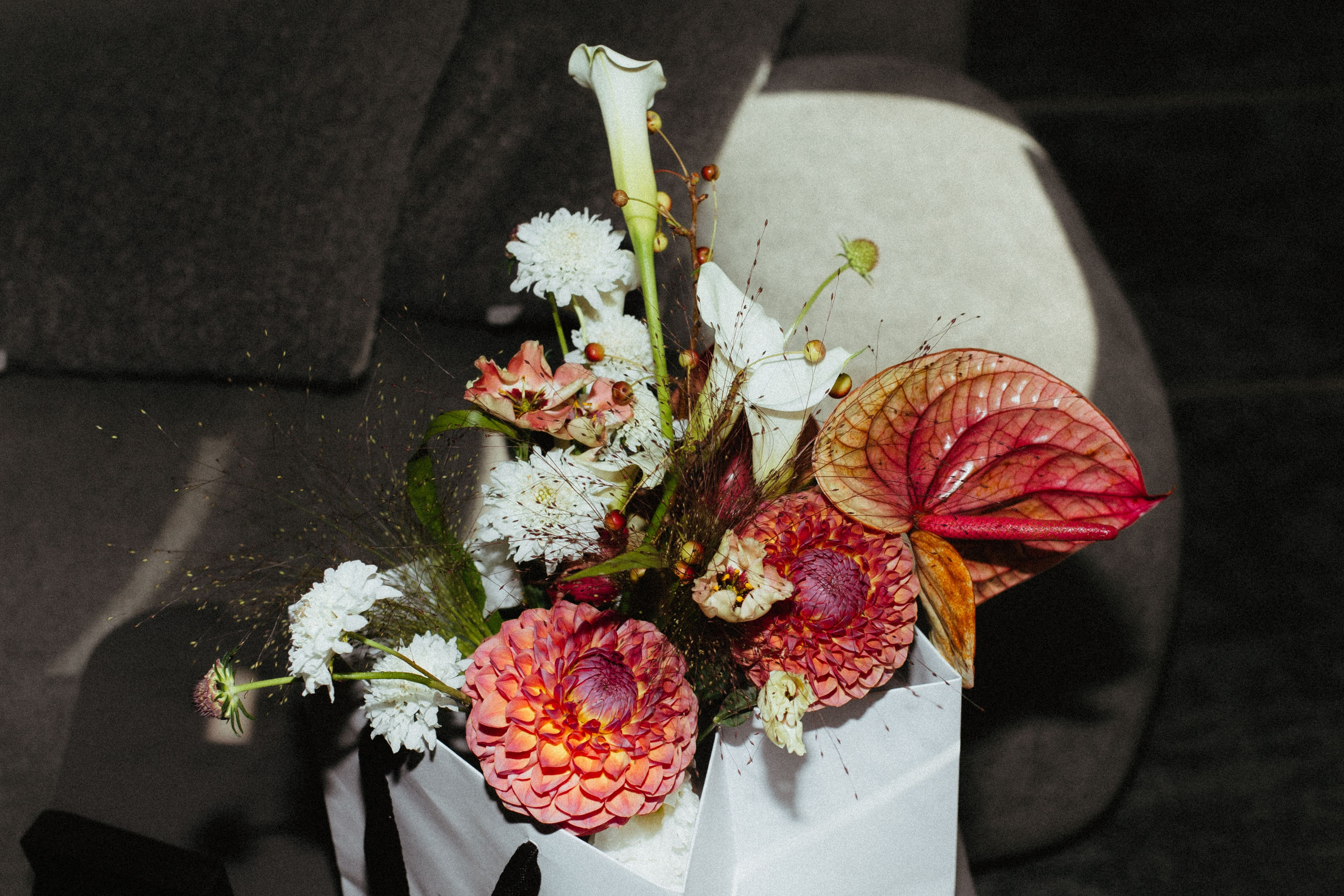 Владимир и Александра. Катерина Аникеева | Фотограф | Екатеринбург