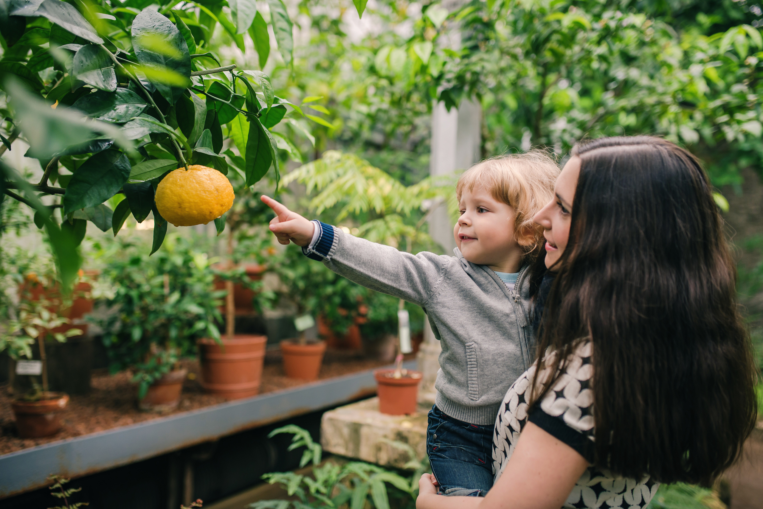 Ботанический сад. Семейный и детский фотограф в Санкт-Петербурге Анна Бубнова
