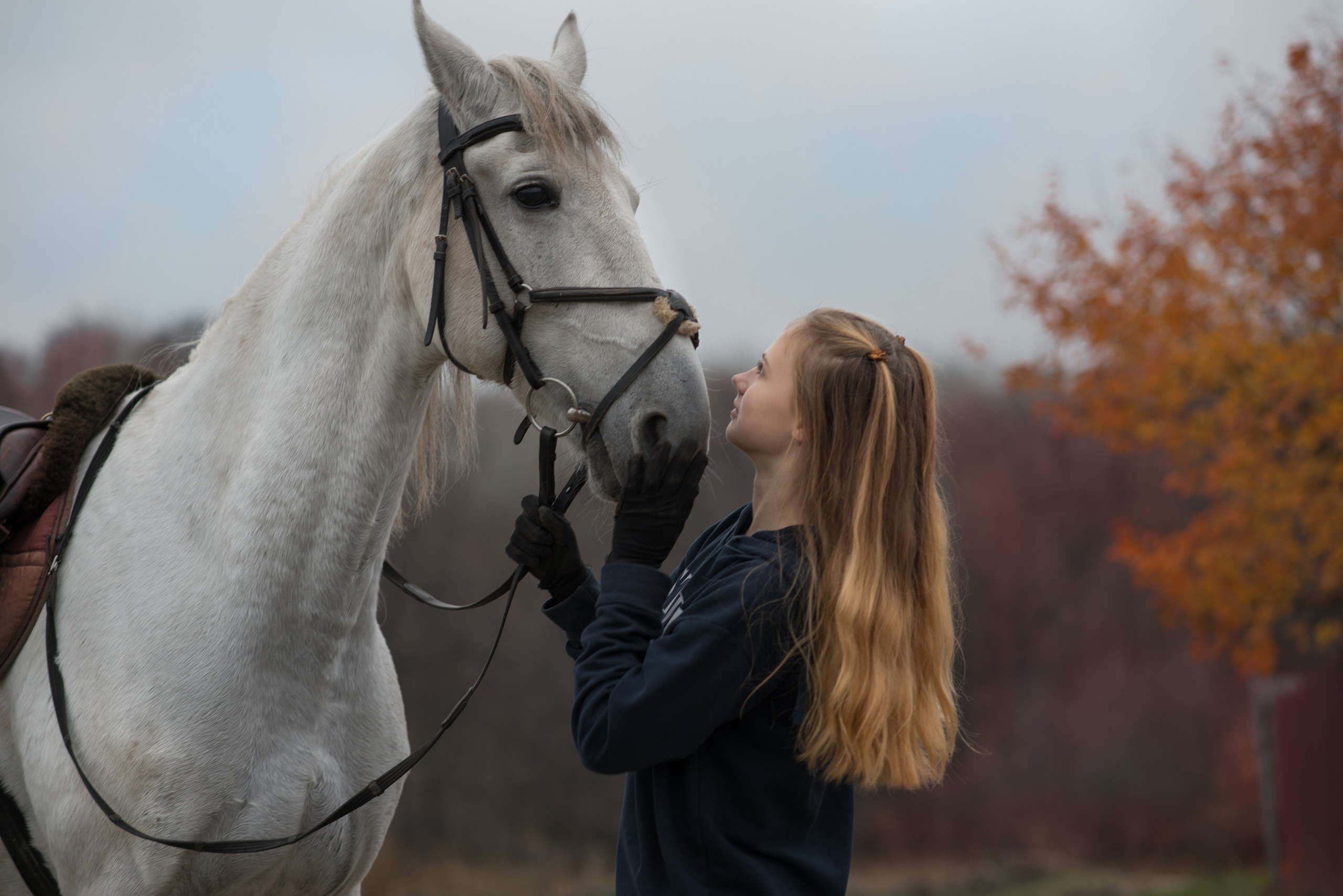 Татьяна и Бук. Конный фотограф в Саратове Юлия Иванова
