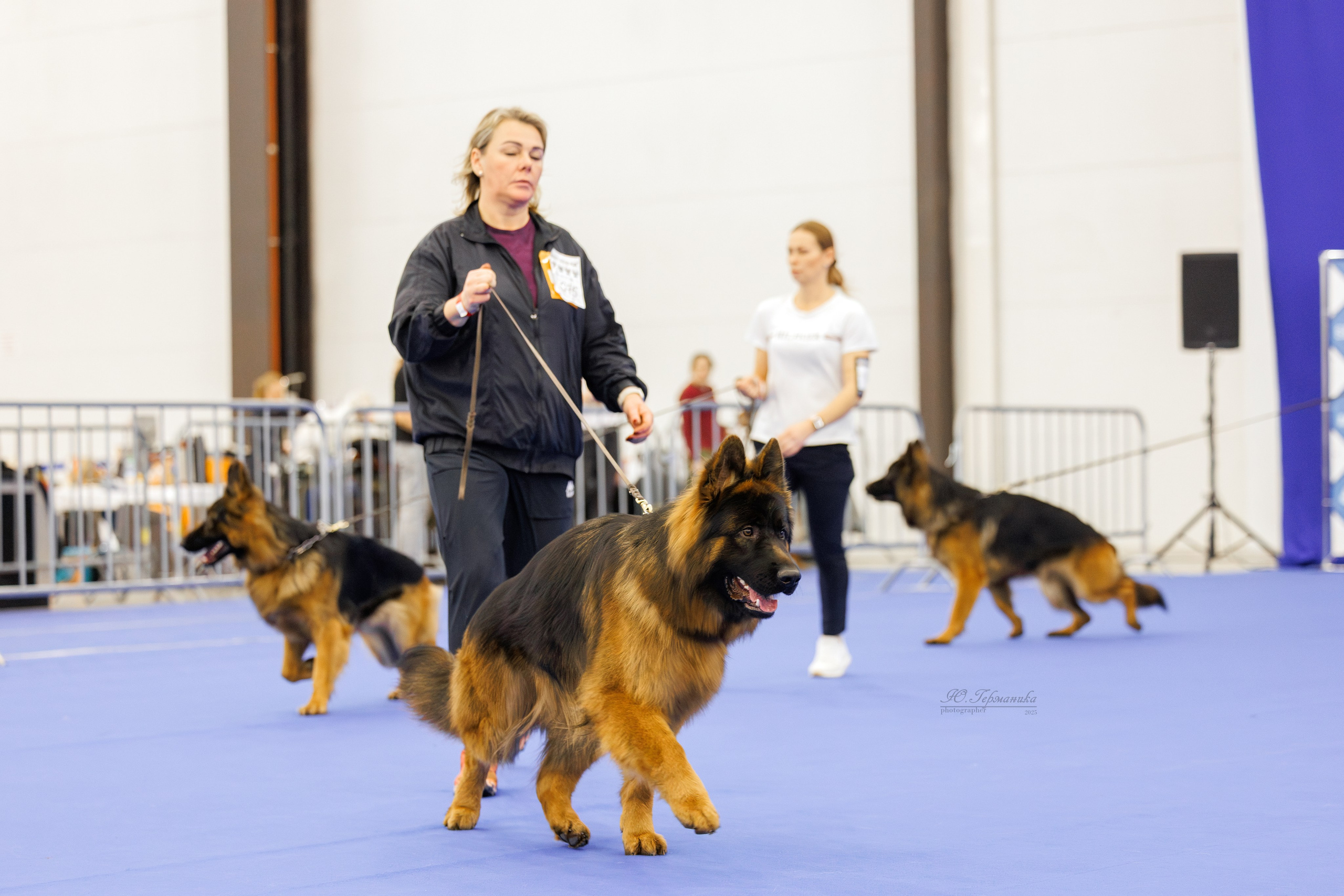 Питер 12-13.12.2025. Фотограф-анималист Юлия Германика