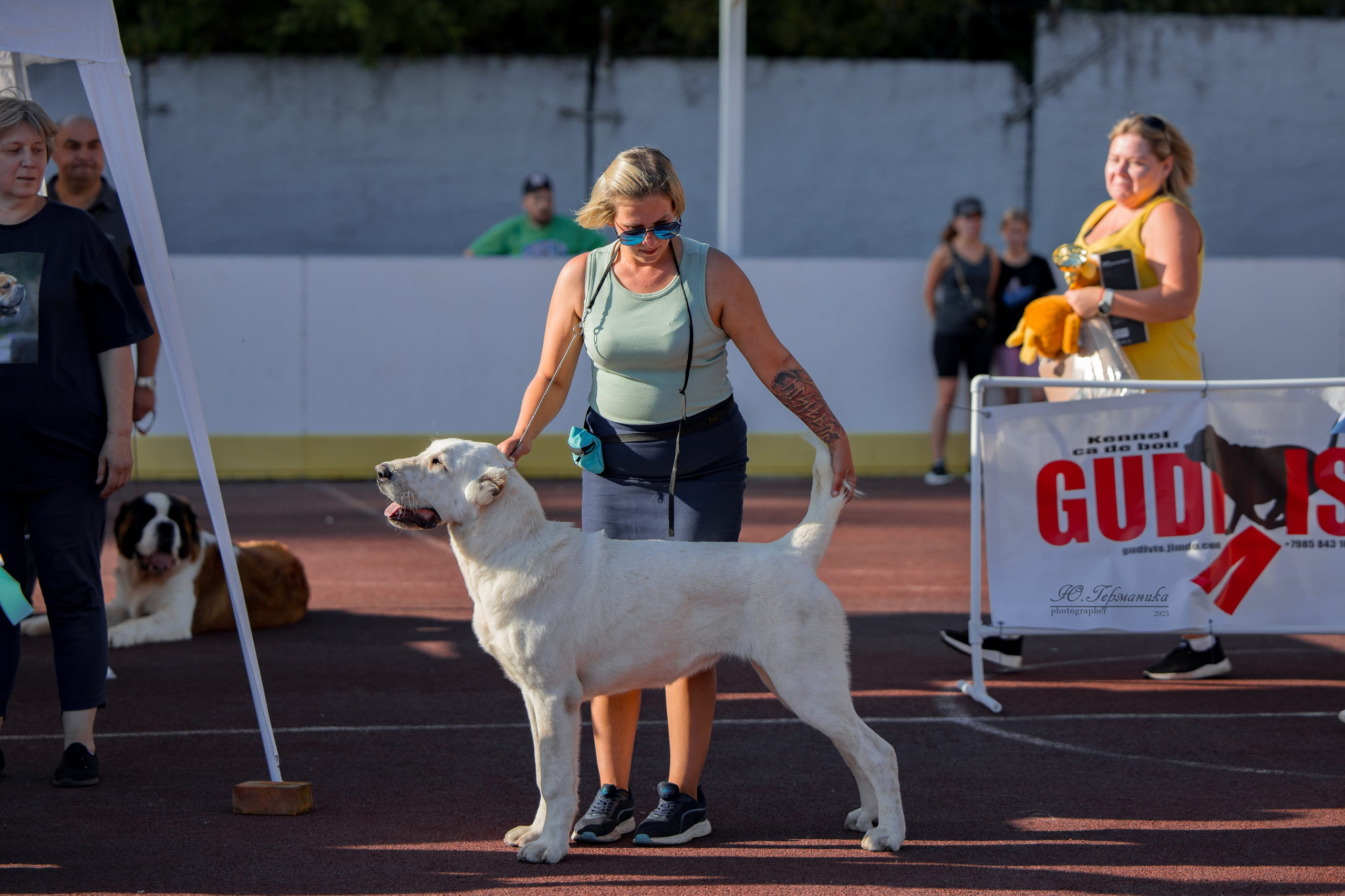 Коломна 30.08.2025. Фотограф-анималист Юлия Германика