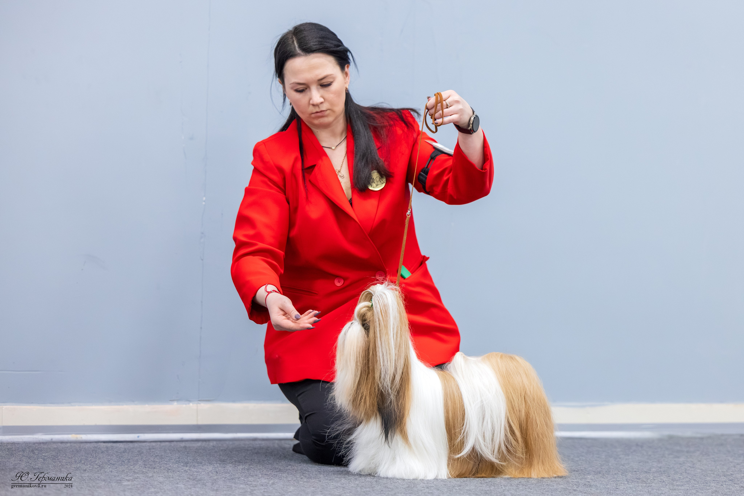 Сфера 17.03.2024. Фотограф-анималист Юлия Германика