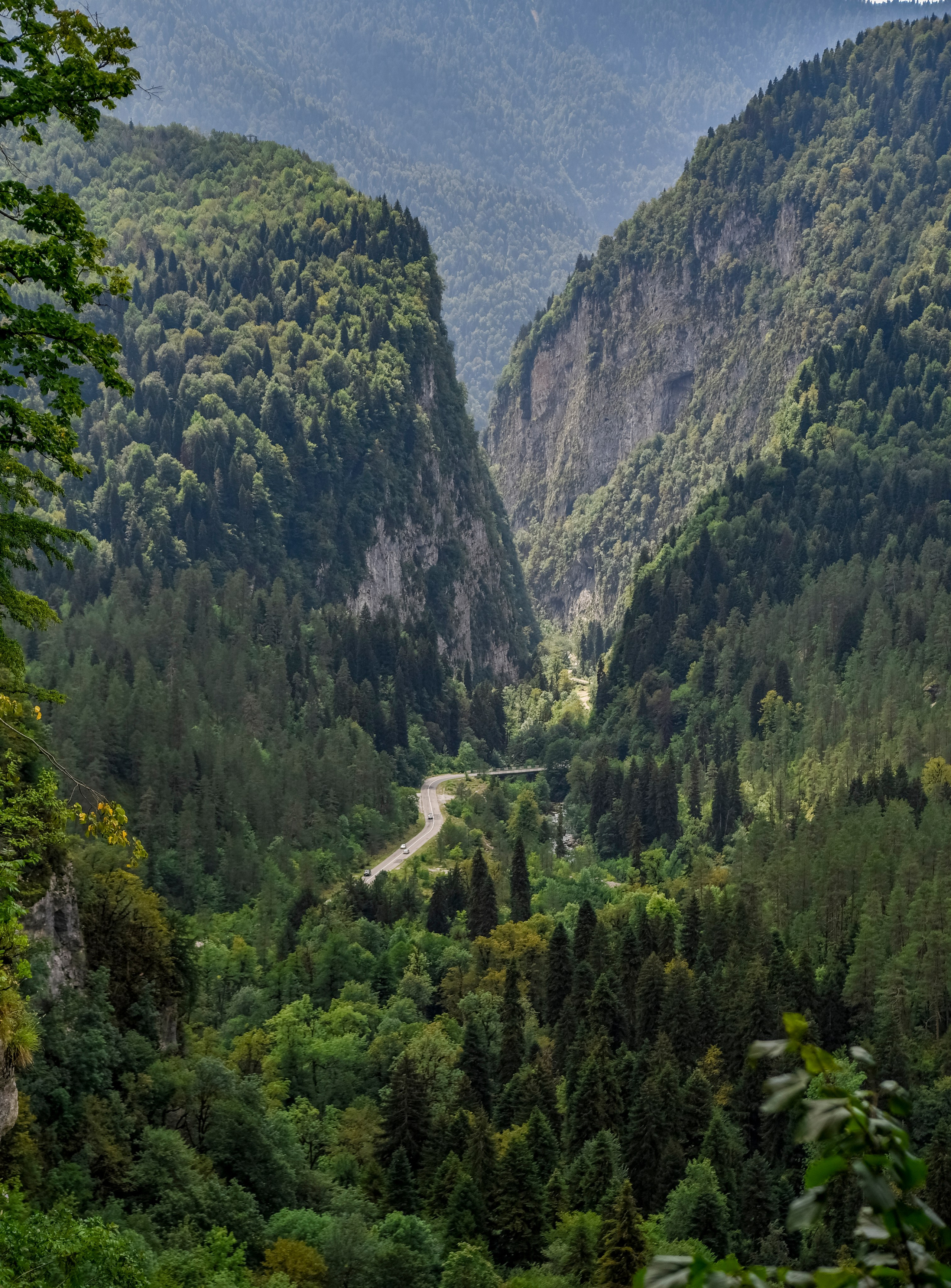 Goblincore, природа, фэнтези, нечисть, лес, гоблинкор, эльфы, фотосессии, костюмированные