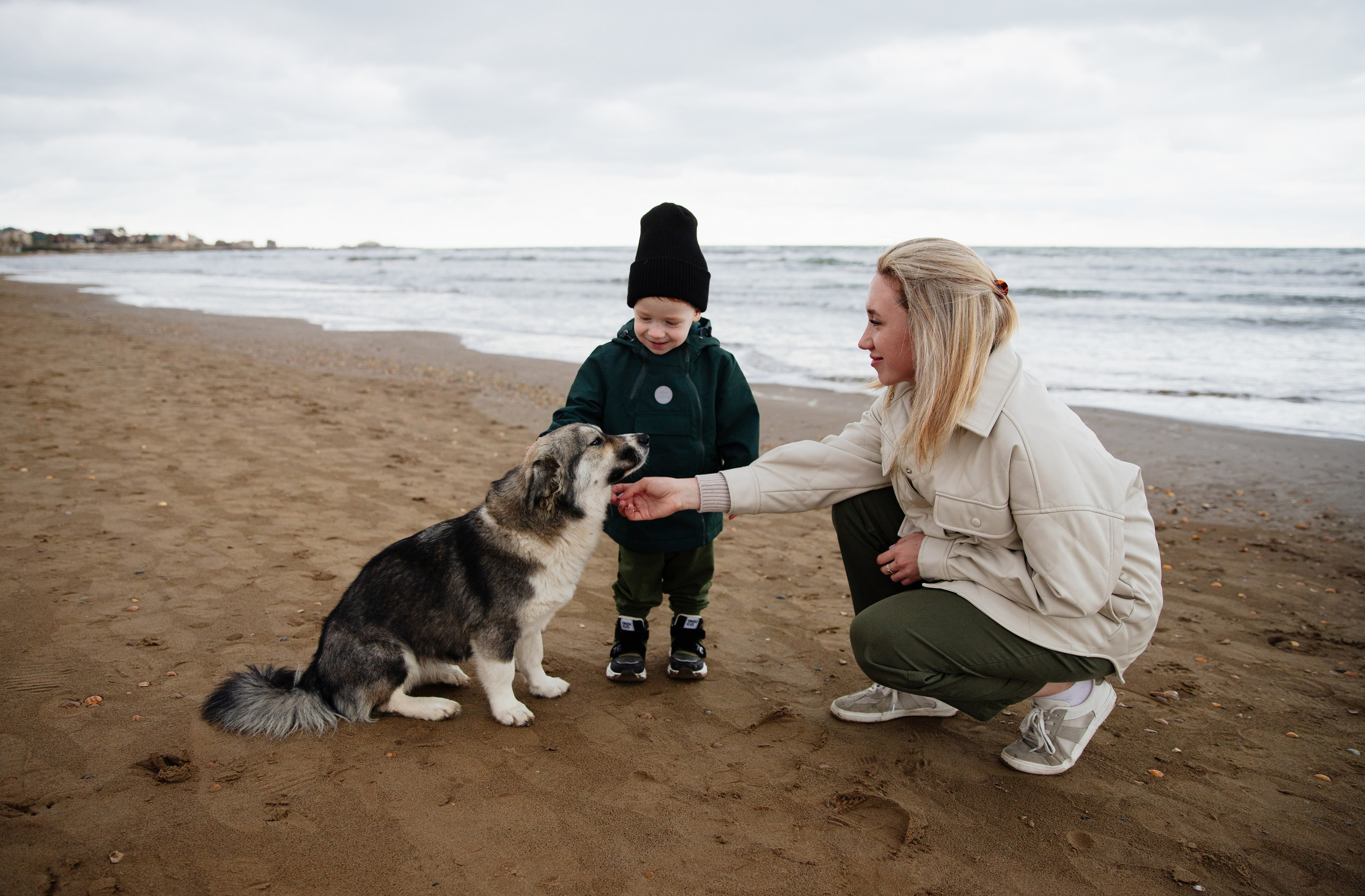 Семья Ланиных