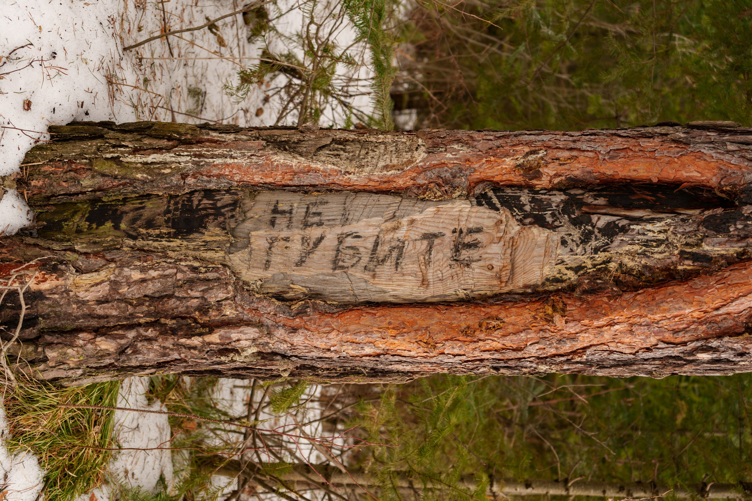Съемки клипа близ «Бархатово». Донеал Скнарь — концертный фотограф