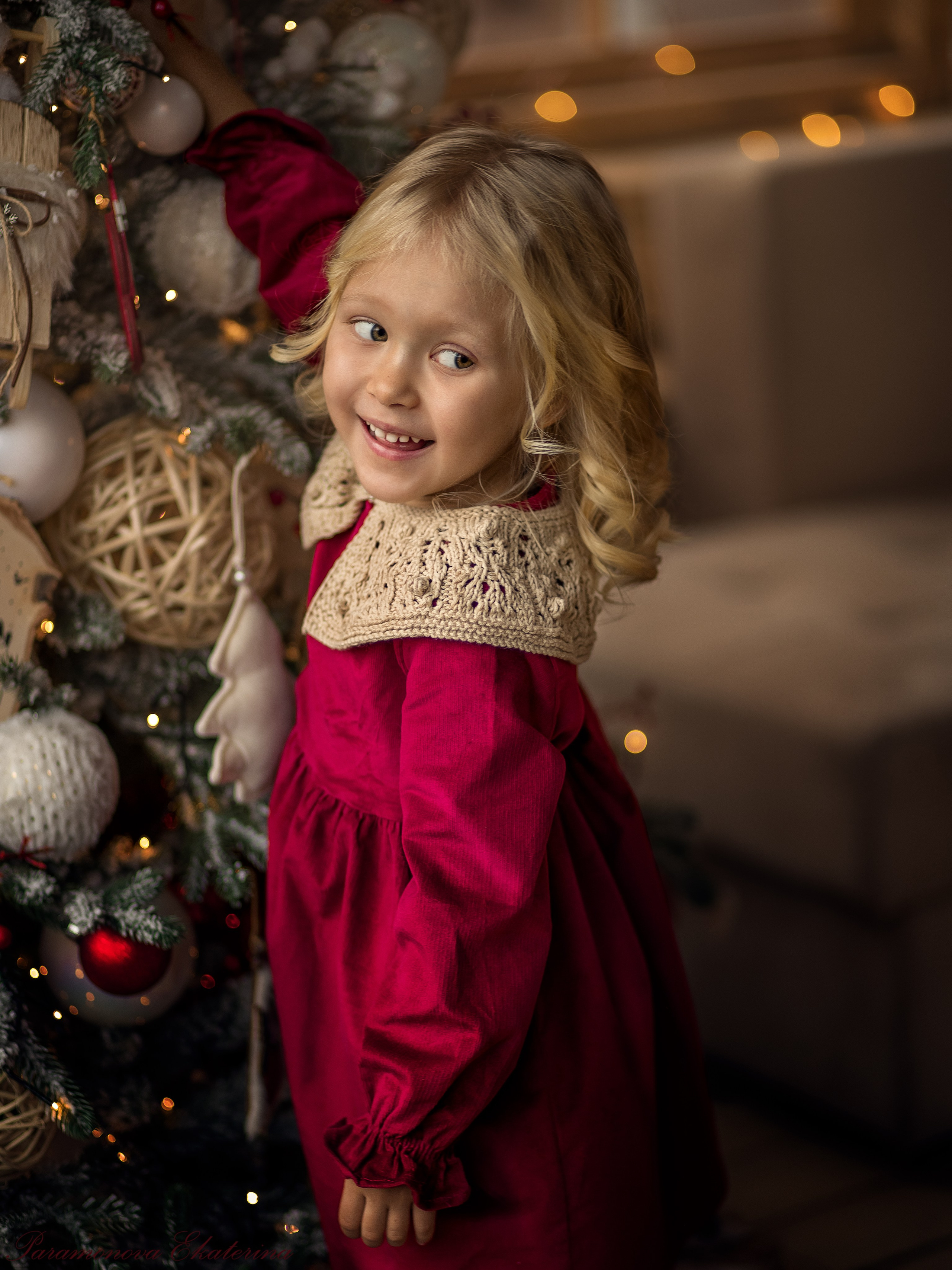 Новогодние котики. Семейный и детский фотограф В Москве Парамонова Екатерина