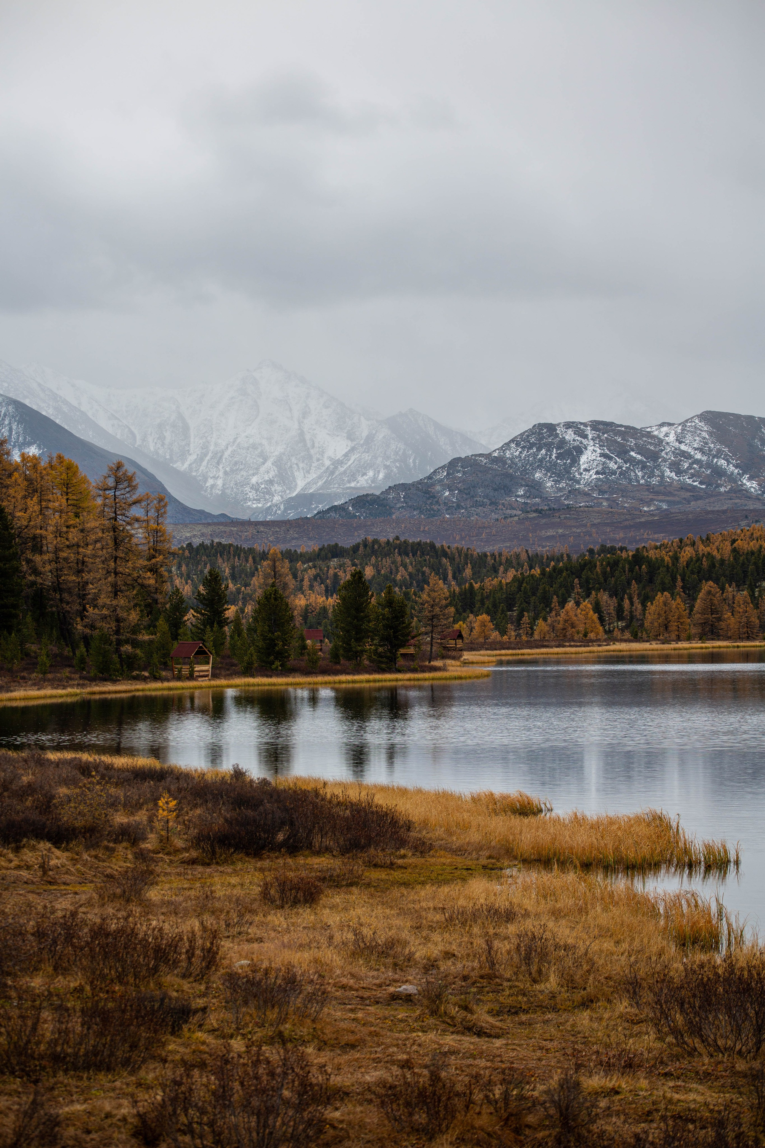 Россия. Алтай. Добродеева Алла фотограф, Москва