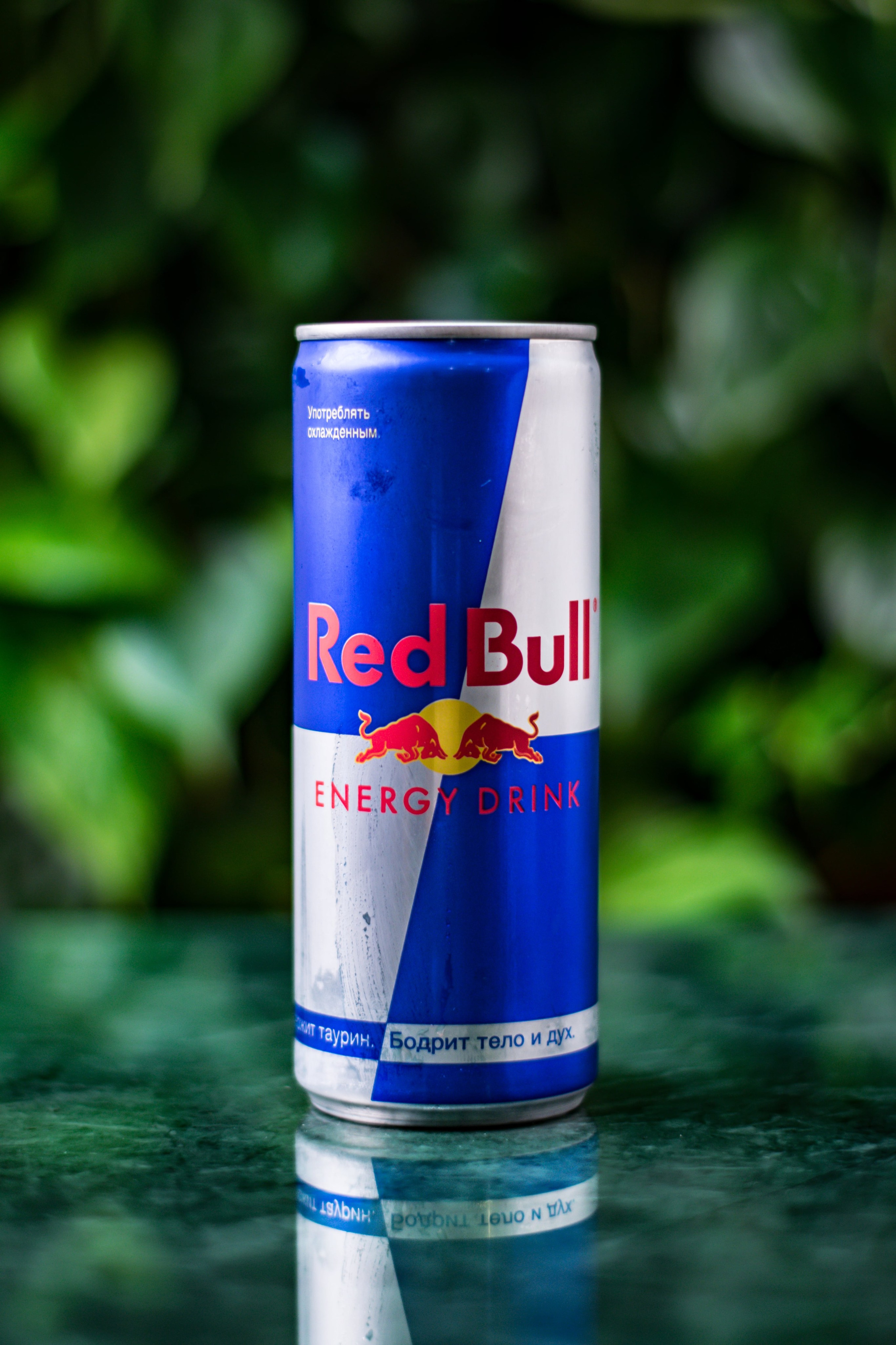 Misty Wood. Портретный фотограф Москва Белогорцев Сергей