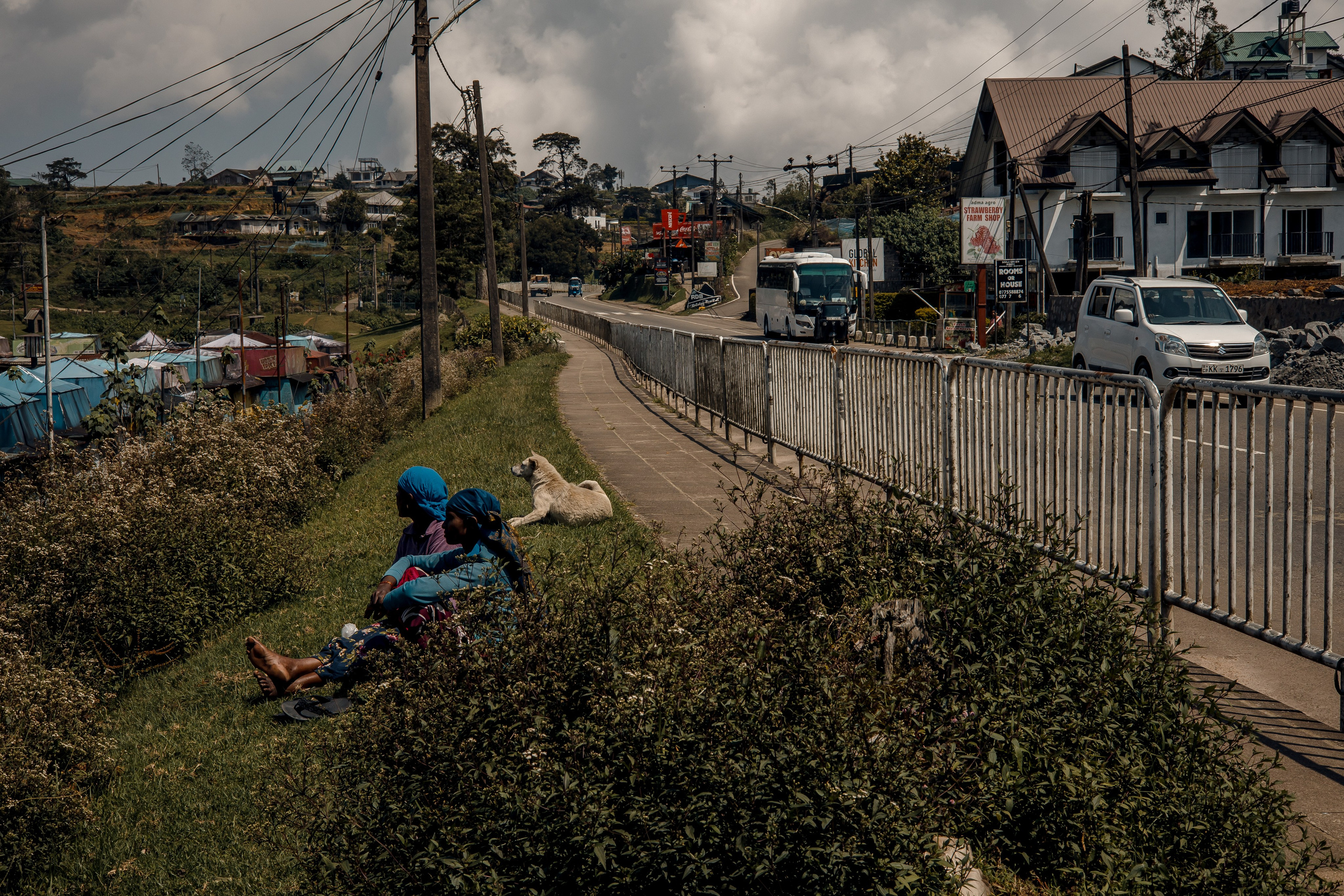 Sri Lanka, Nuwara Elia 2026. Art Photographer