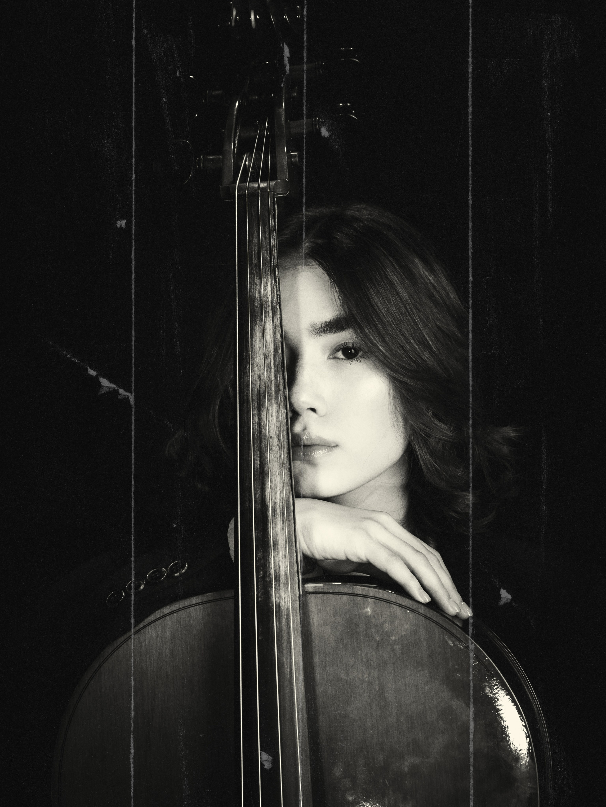 Night Harmony. Royal Shirali