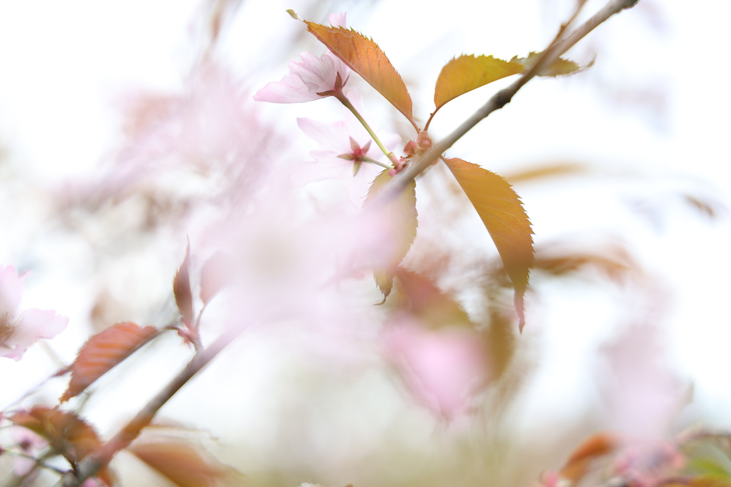 События, которые происходят в жизни фотографа. Портретный фотограф в Краснодаре Надежда Дудова