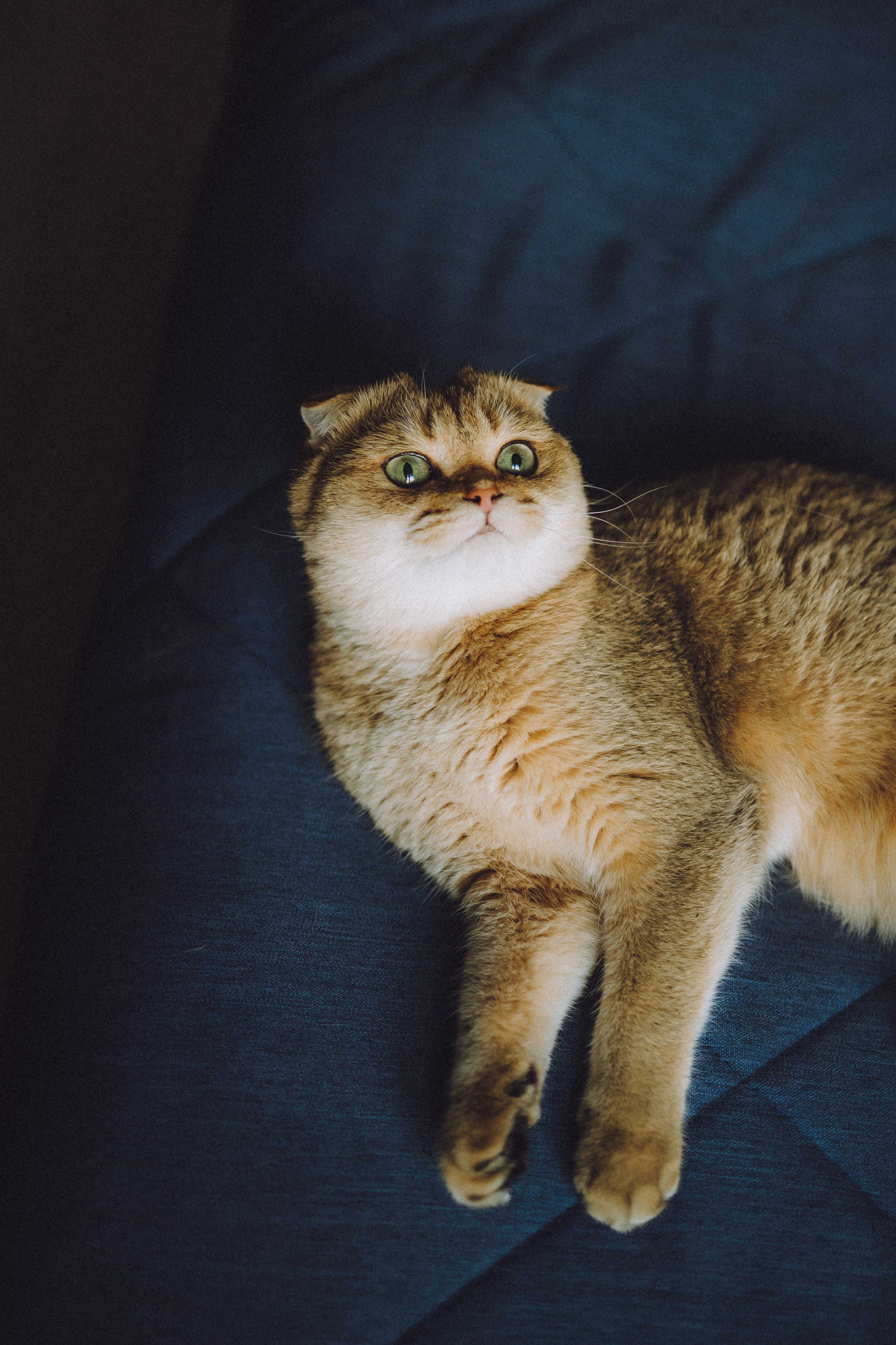 Генри и его семья