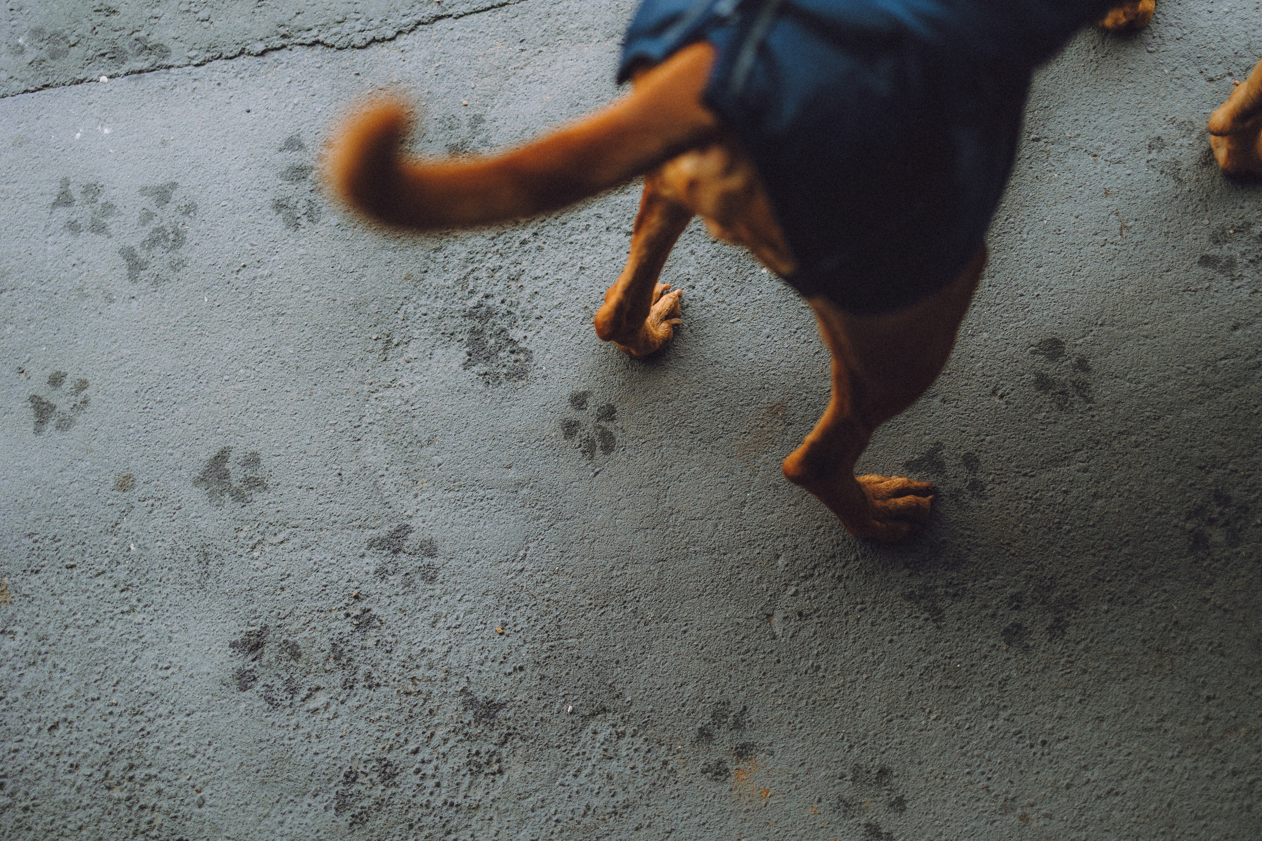 Екатерина и Даня