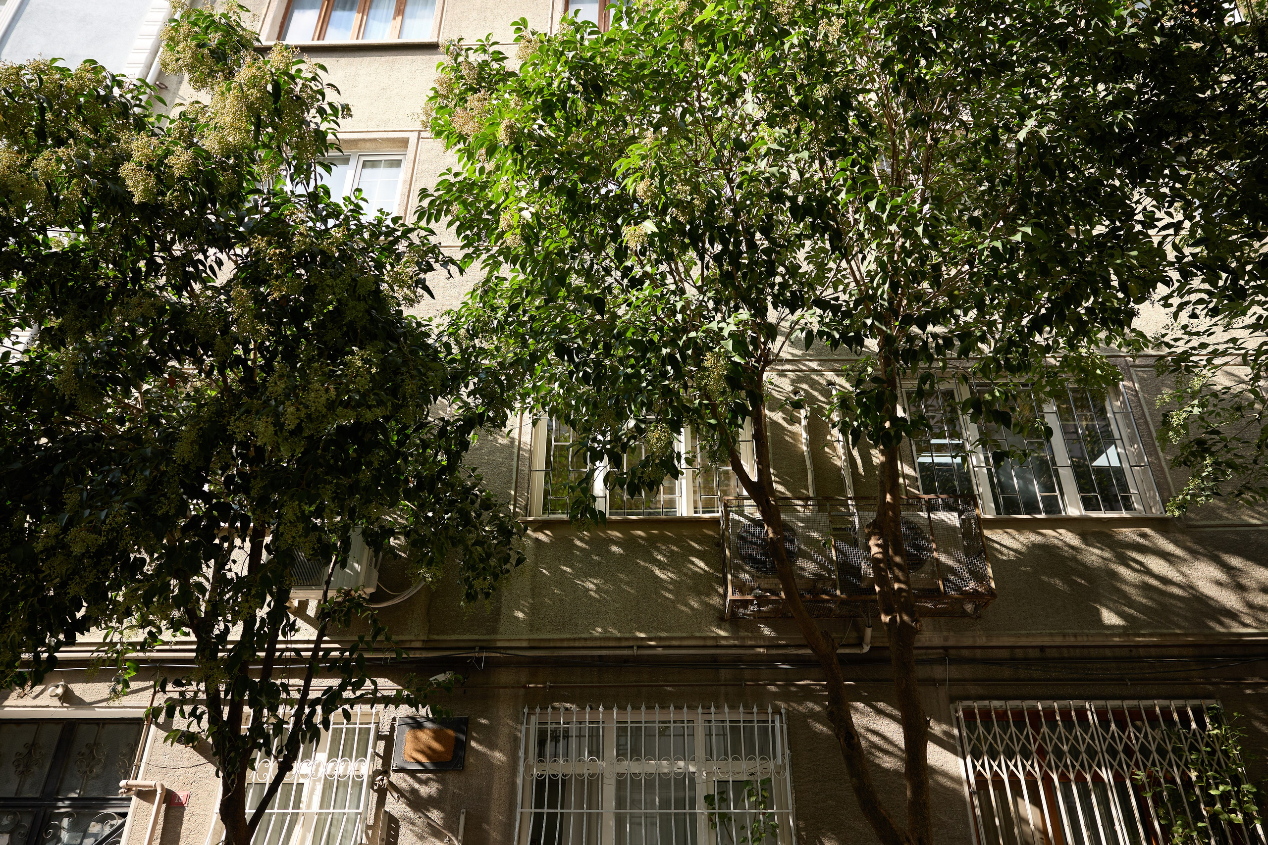 Стамбул 24. Фотограф Москва, Дима Пеллер