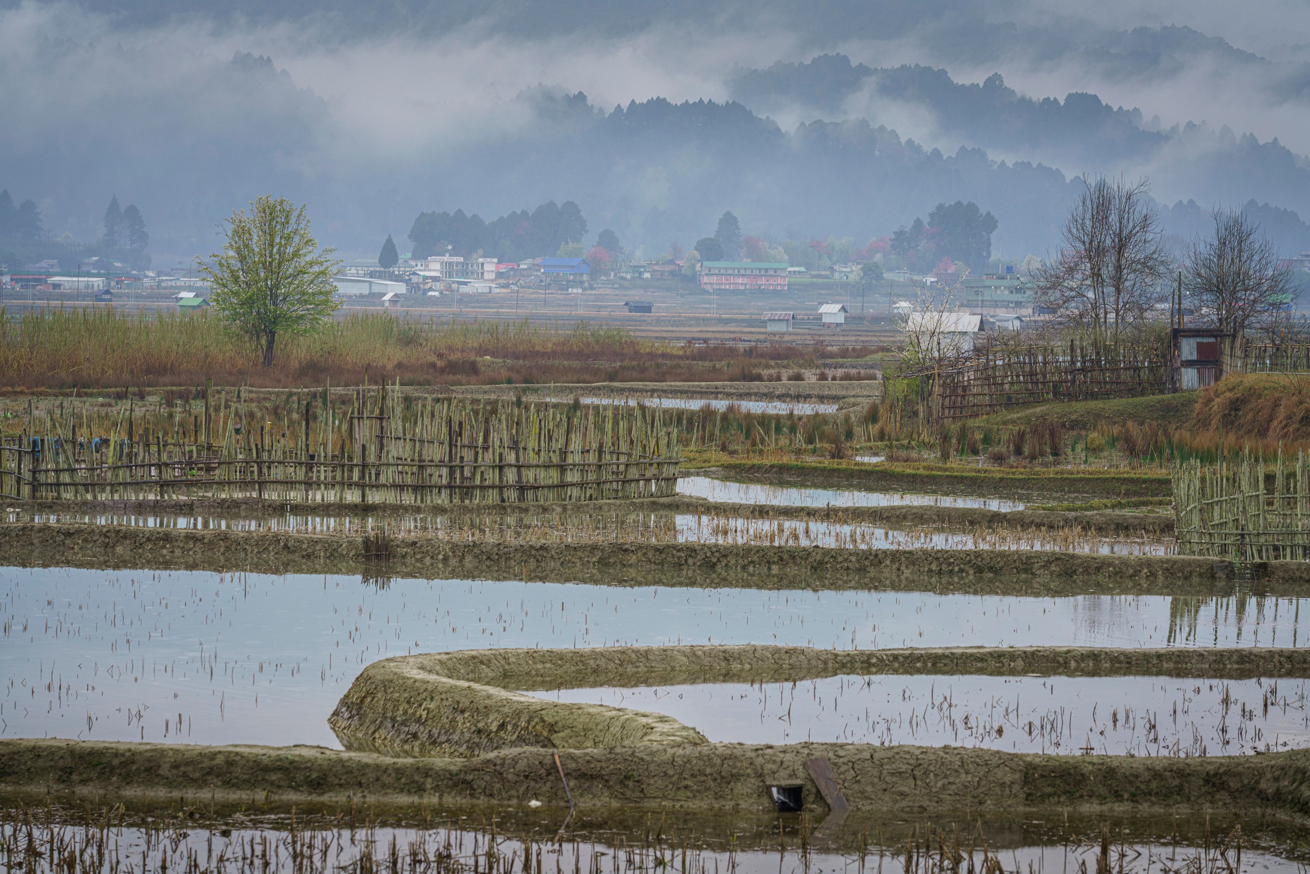 India travel. Фотограф Сергей Танков