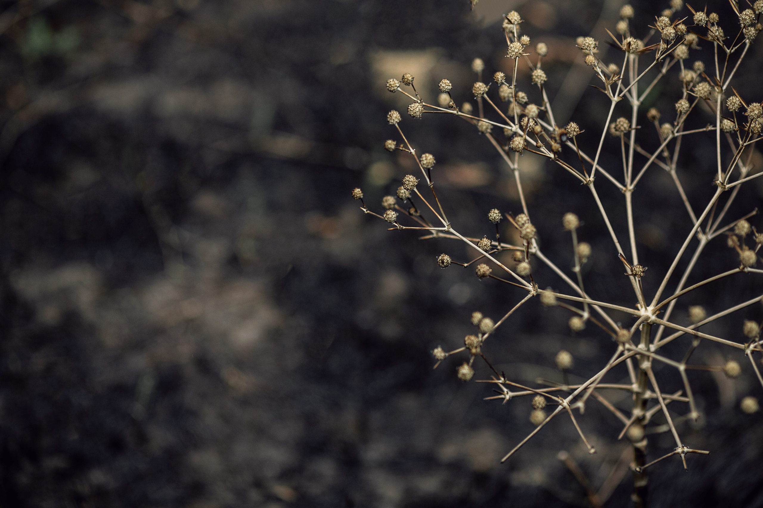Новое начало. Семейный и детский фотограф в Ростове-на-Дону Мария Курутина