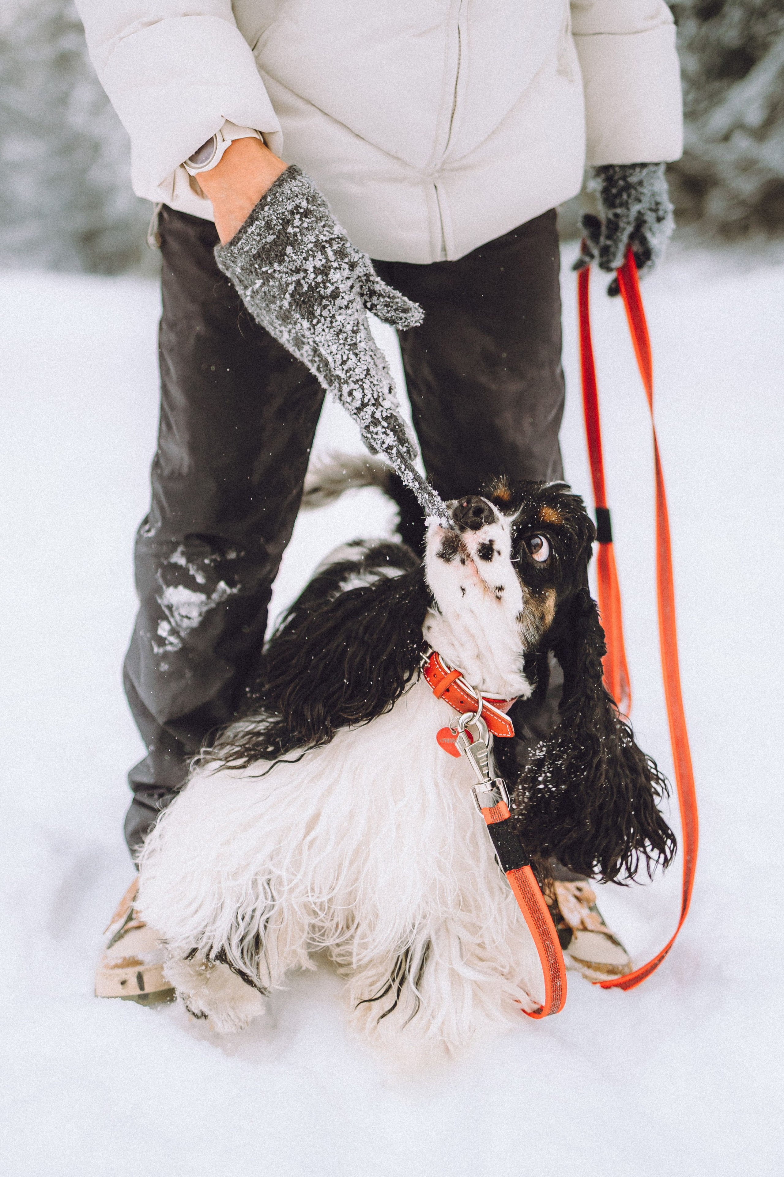 Ольга и Патрик