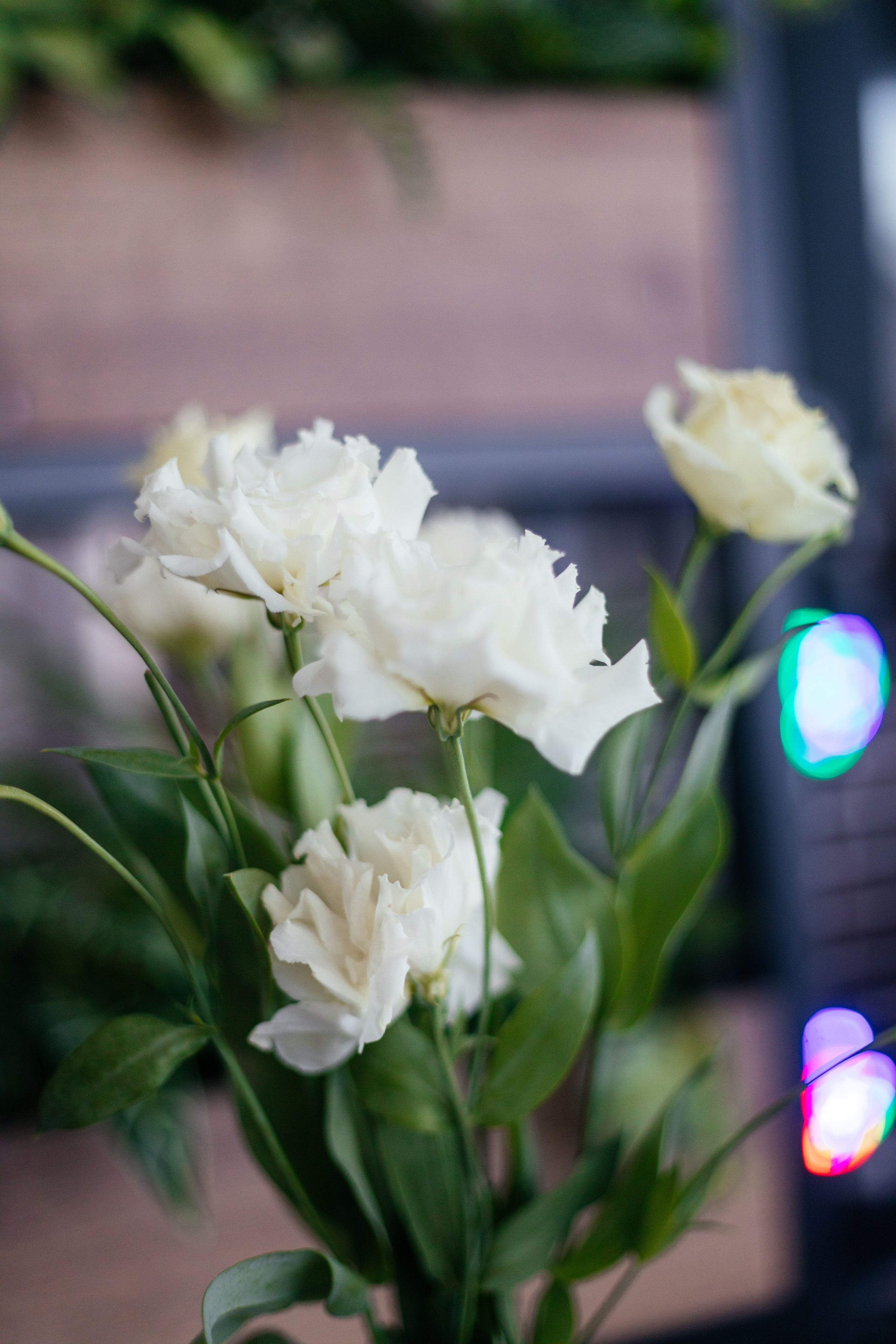 Елизавета и Руслан. Свадебный и семейный фотограф в Краснодарском крае Мария Данилкина