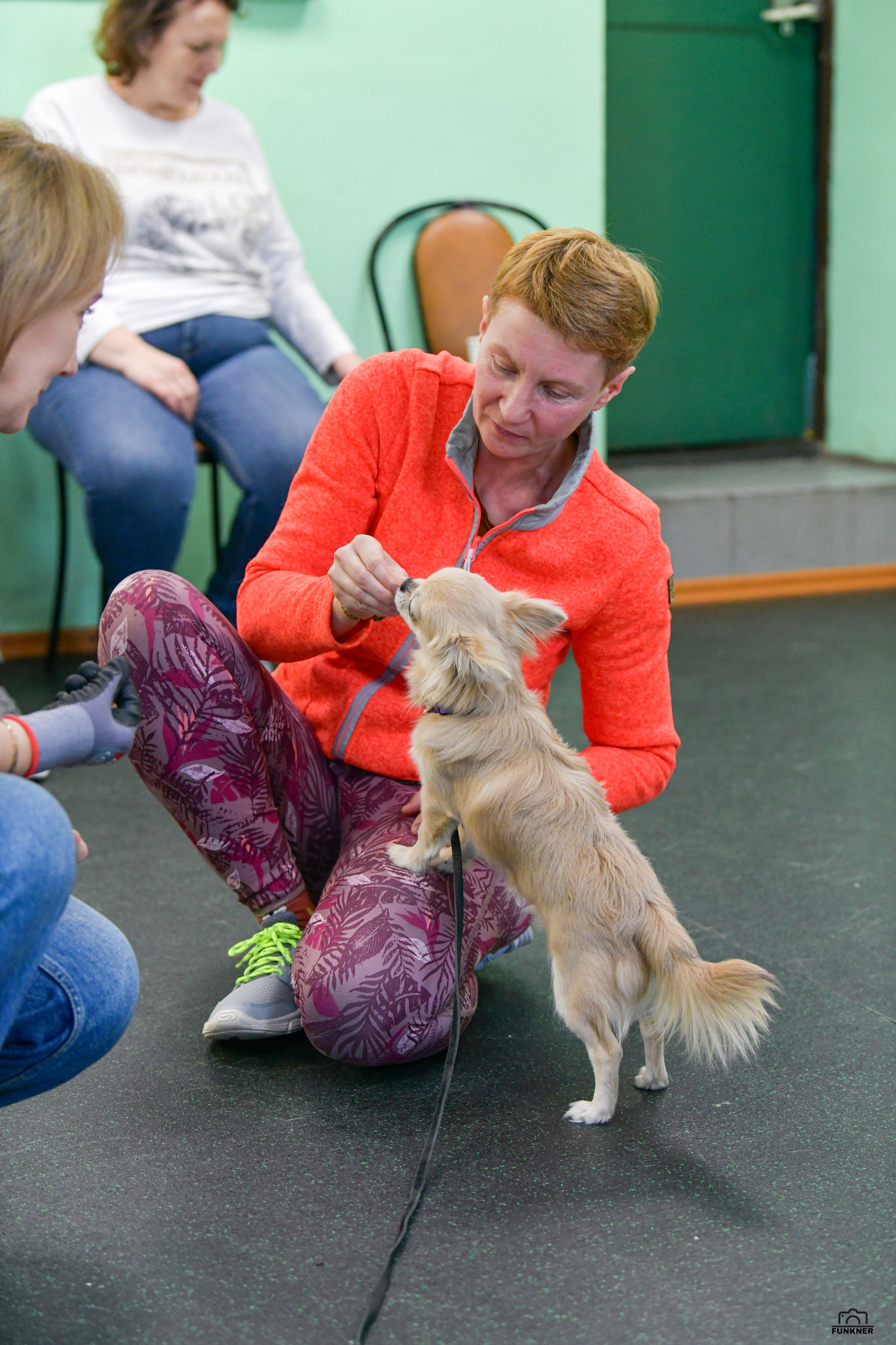 Кинологический клуб «Бодрый хвост». Свой взгляд через объектив