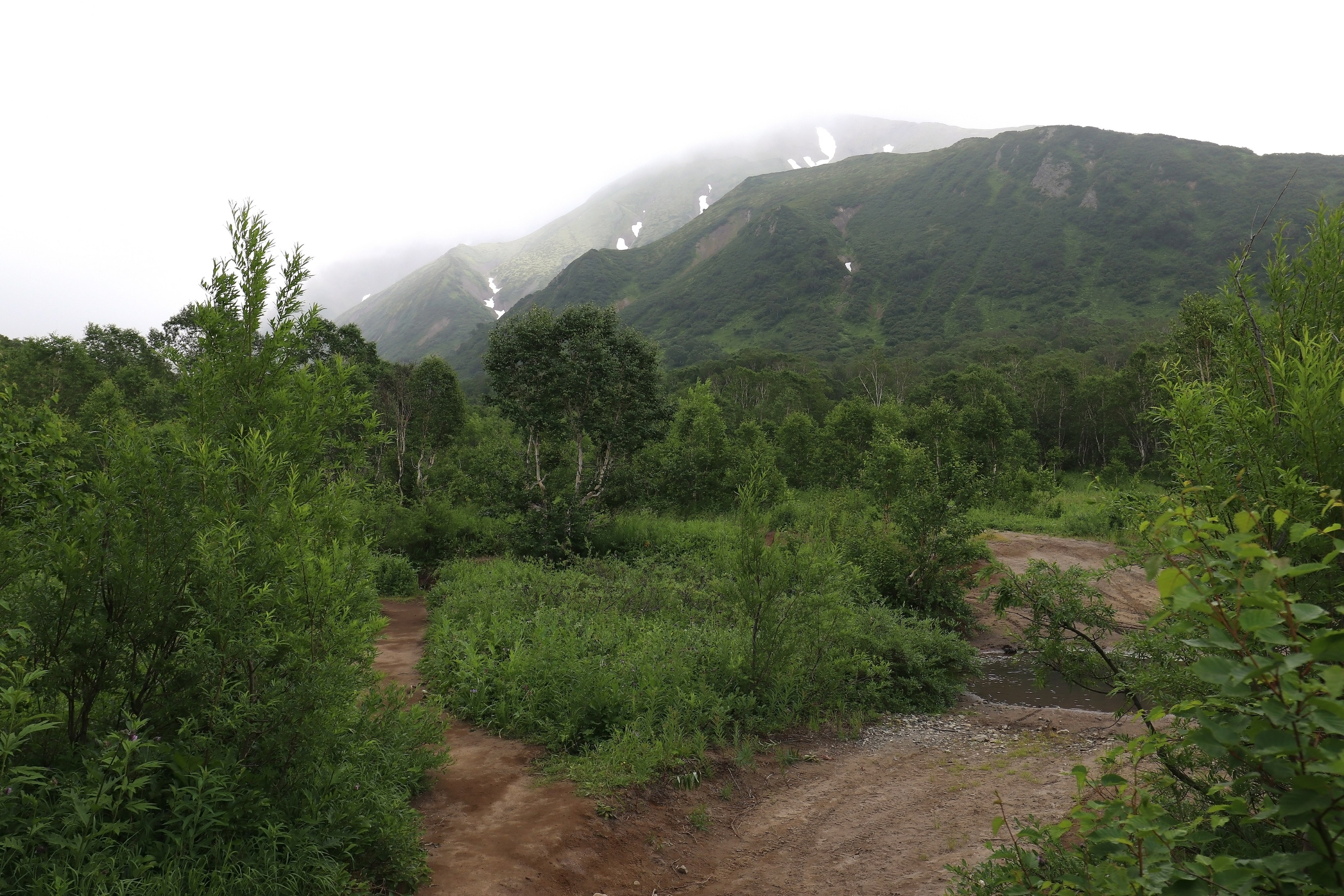 Камчатка и о. Парамушир. Июль 2024. Путешественник-фотограф из Санкт-Петербурга Татьяна Свистулина