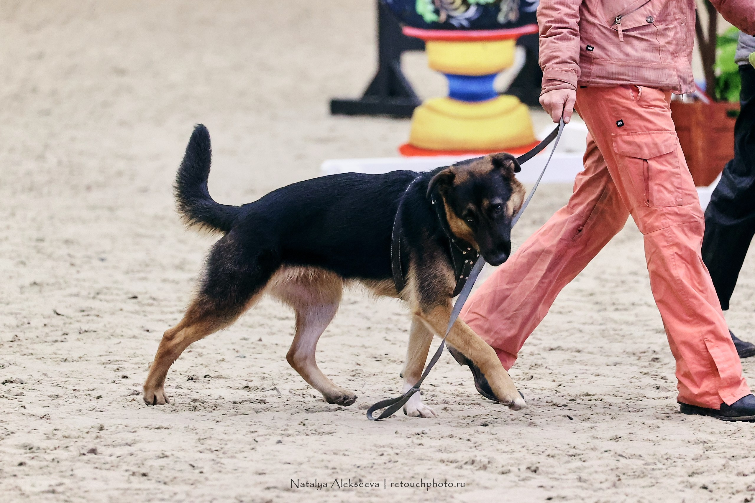 Финал Maxima Park по конкуру, Maxima Stables | 10'2023. Репортажный фотограф и ретушер в Москве Наталья Алексеева