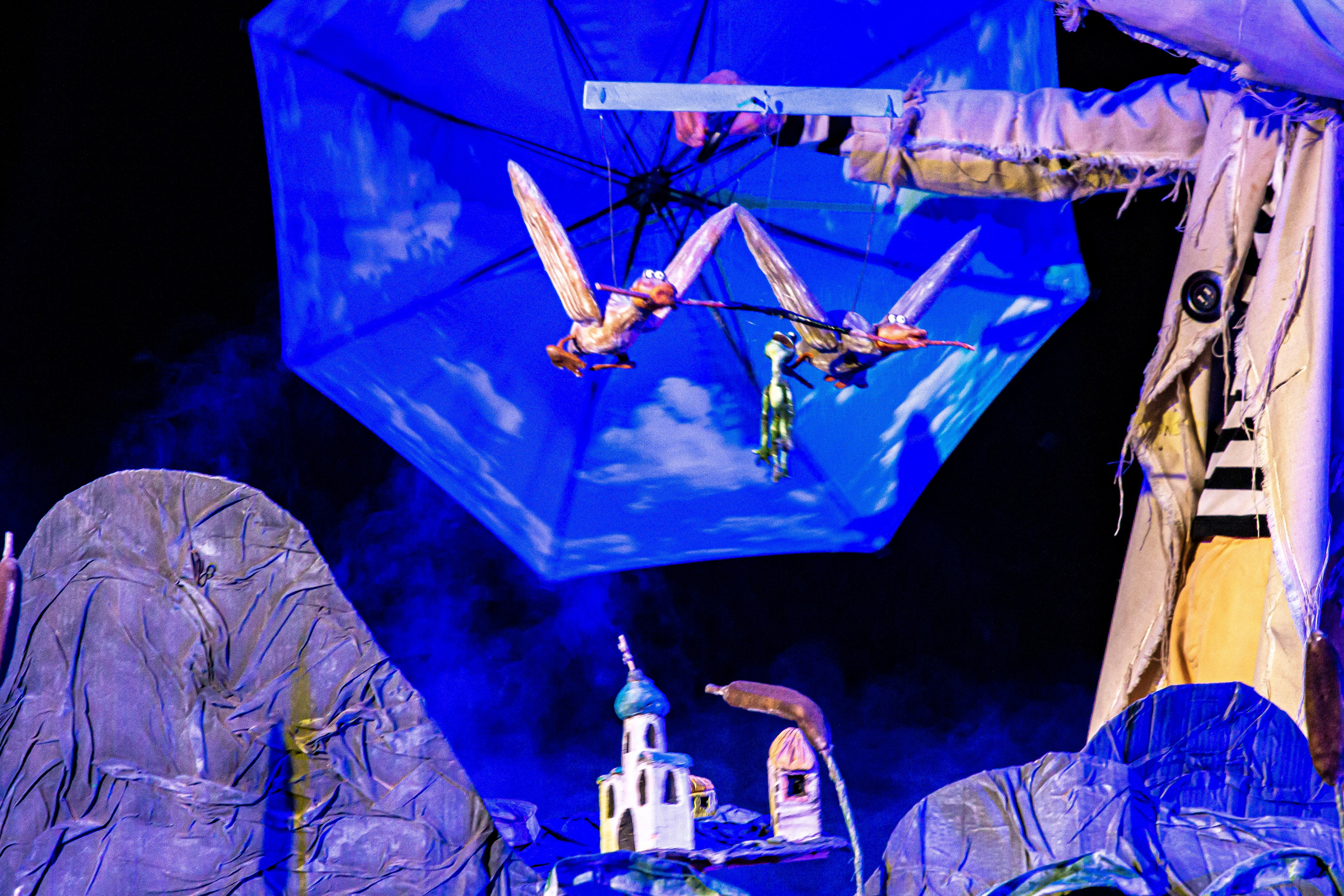 Спектакль театра Саквояж Лягушка путешествиница. Фотограф в Сочи Юрий Шептаев