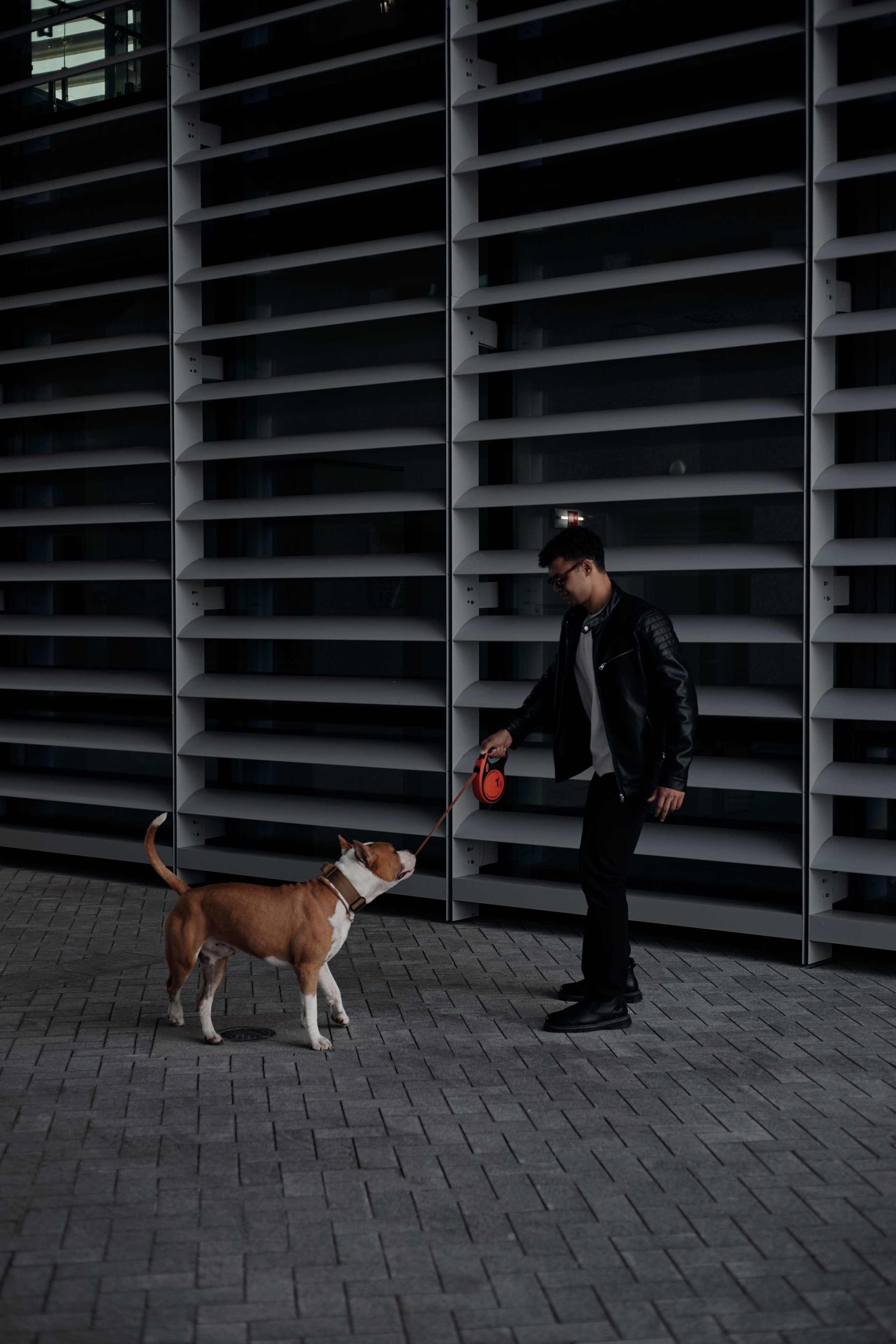 Абдо (прогулка с собакой). Фотограф из Казани