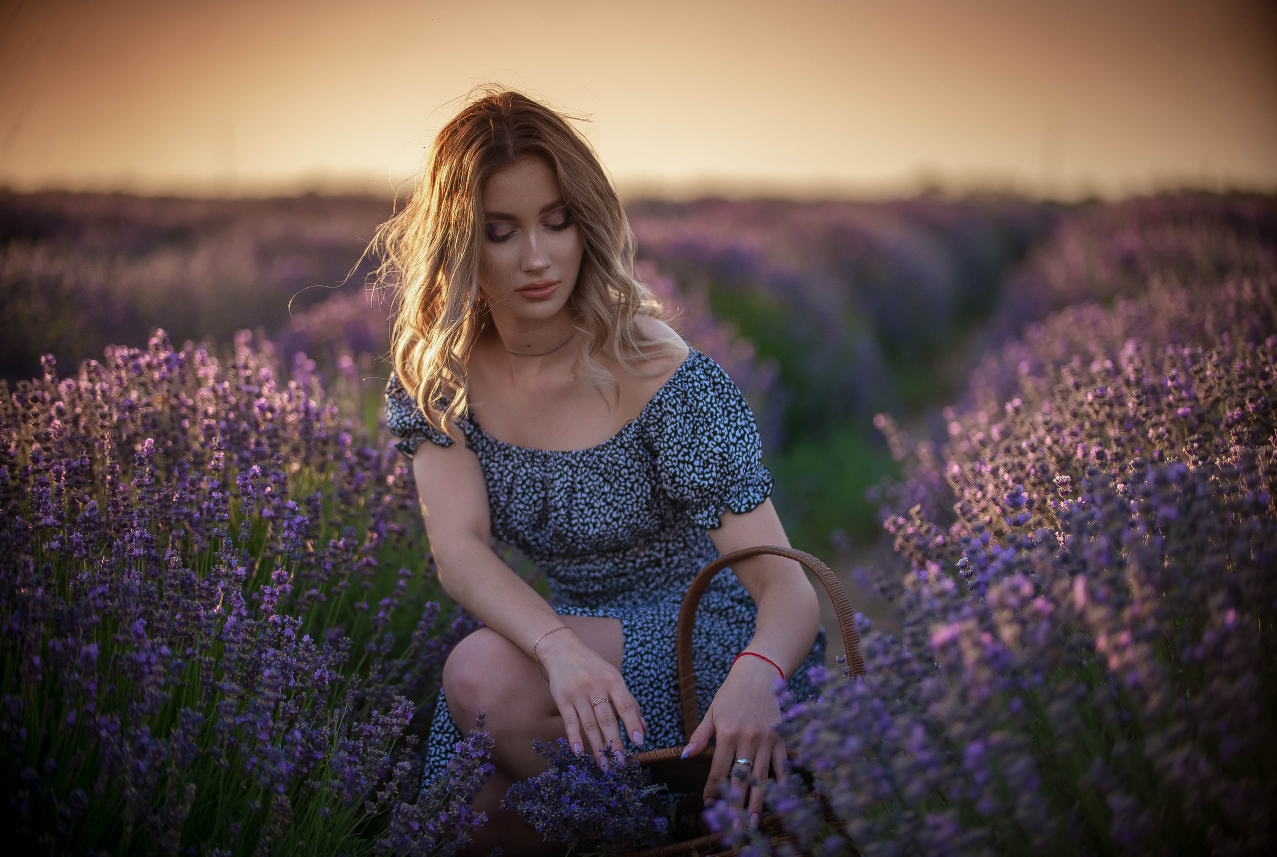 Лавандовые поля 2022. Арт-фотограф Евгений Матвиенко