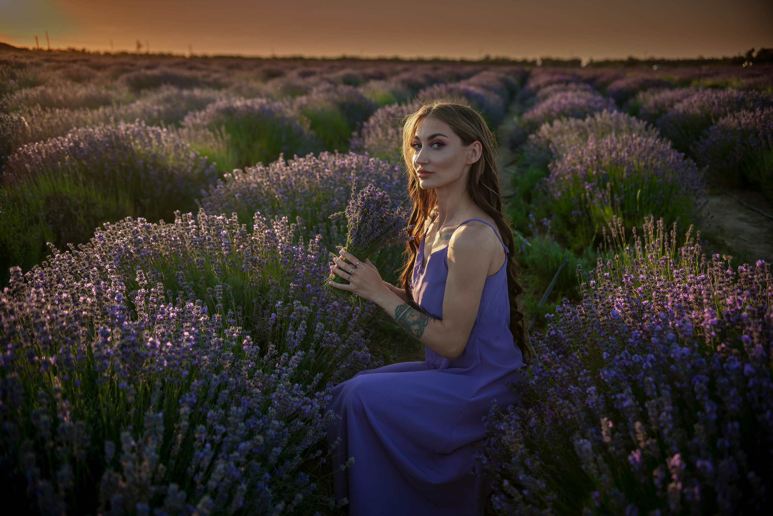 Лавандовые поля 2022. Арт-фотограф Евгений Матвиенко