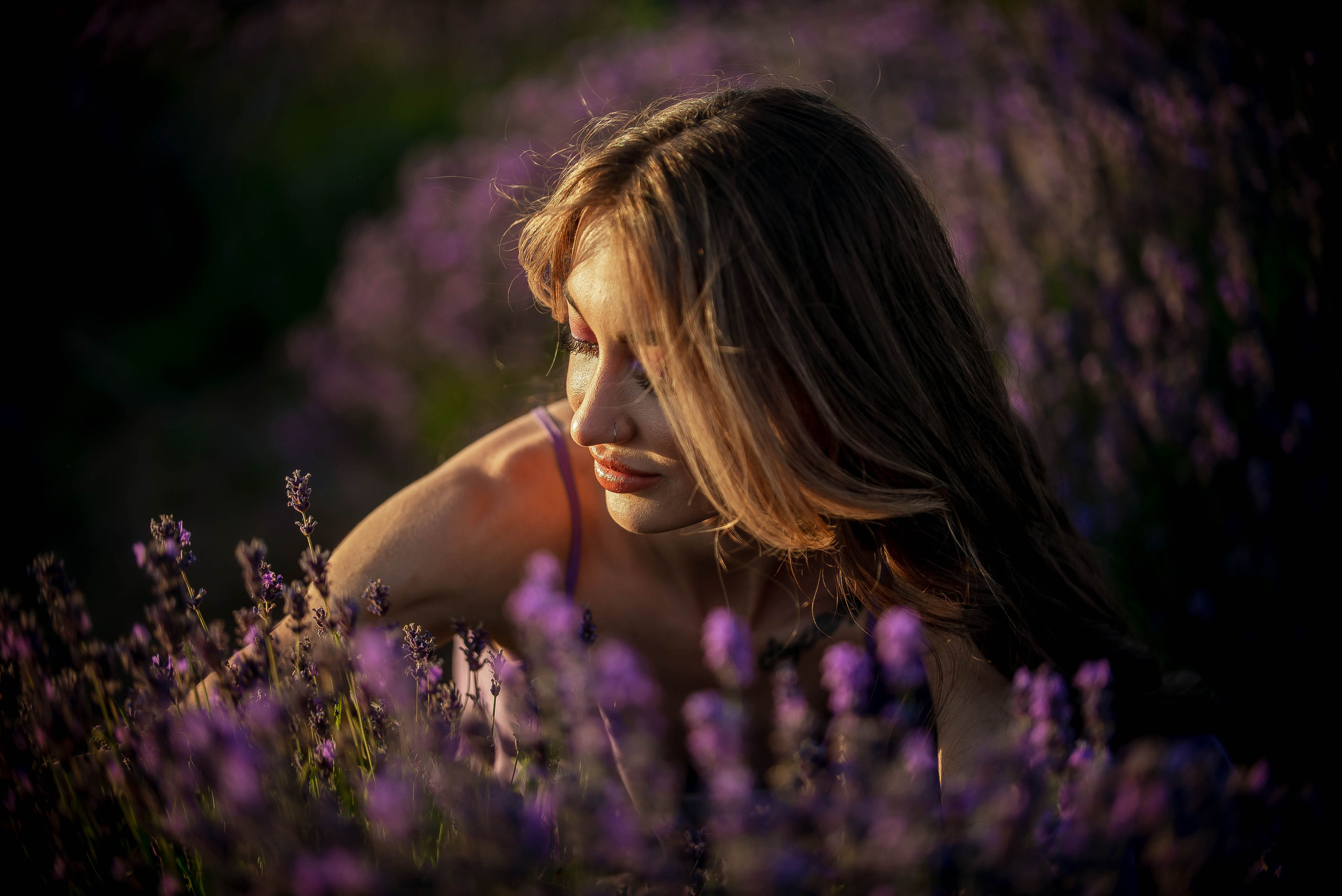 Лавандовые поля 2022. Арт-фотограф Евгений Матвиенко