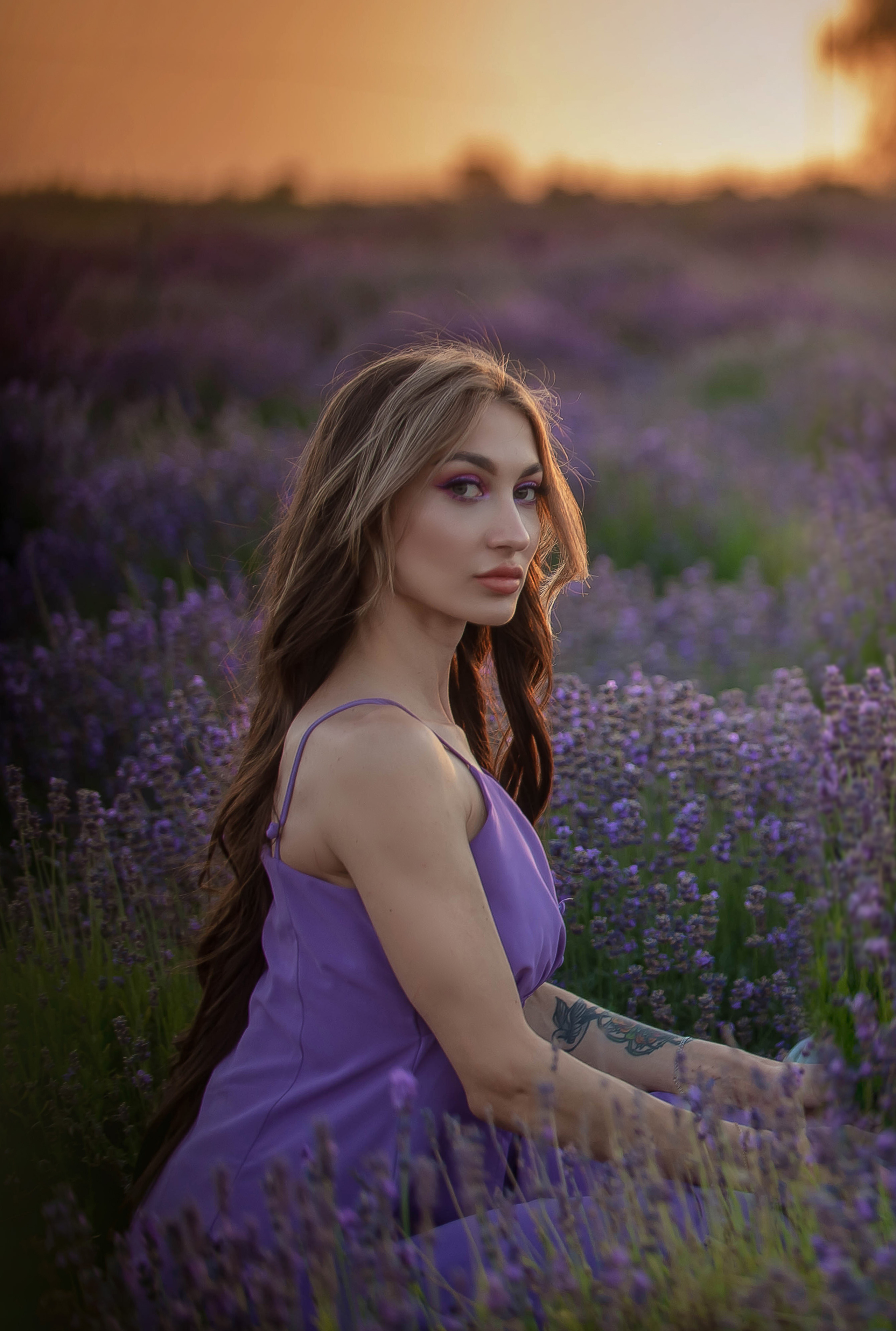 Лавандовые поля 2022. Арт-фотограф Евгений Матвиенко