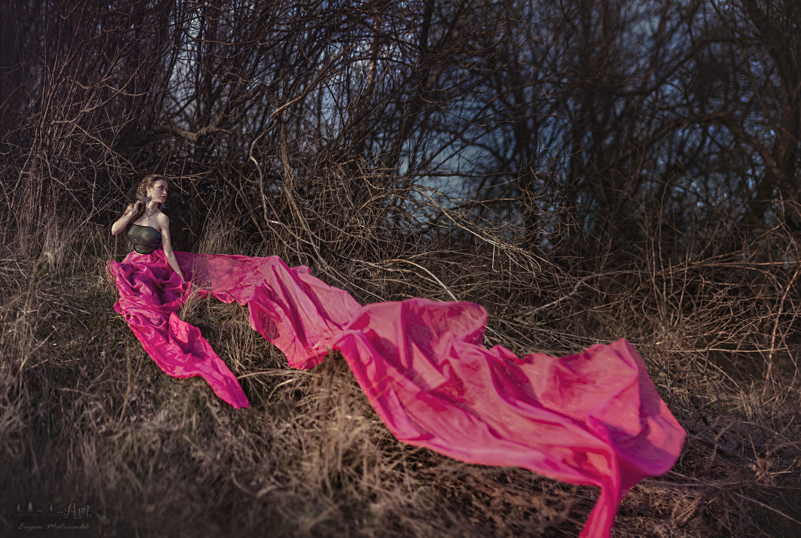 Нана Матвиенко — Портфолио