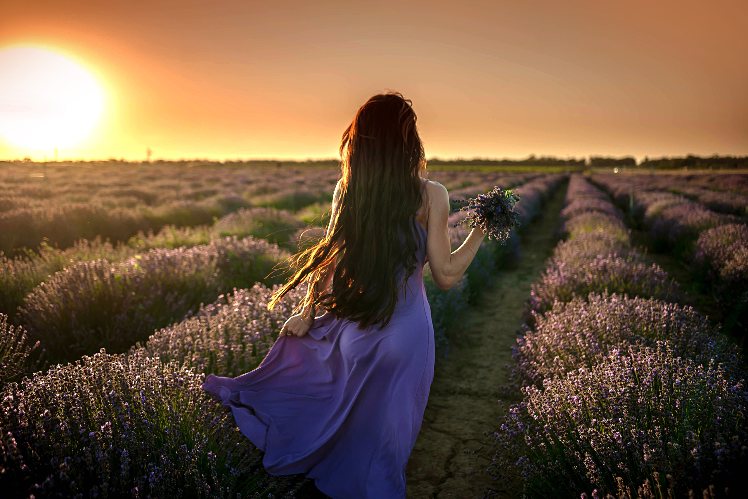 Лавандовые поля 2022. Арт-фотограф Евгений Матвиенко