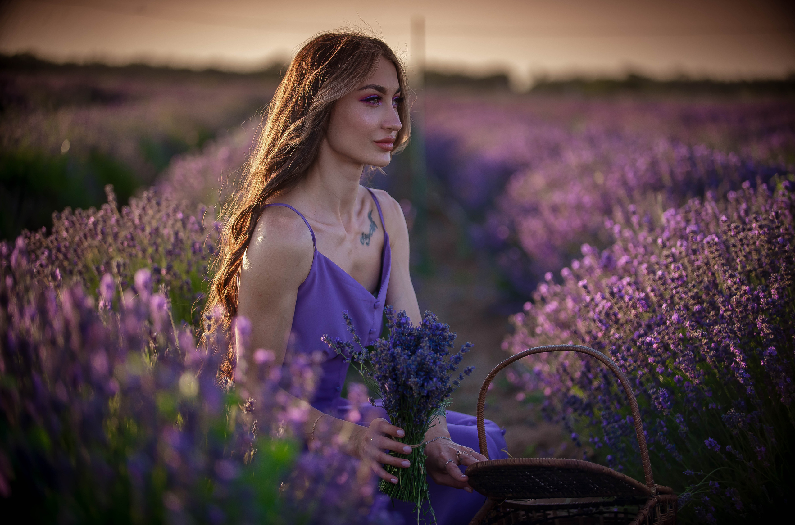 Лавандовые поля 2022. Арт-фотограф Евгений Матвиенко