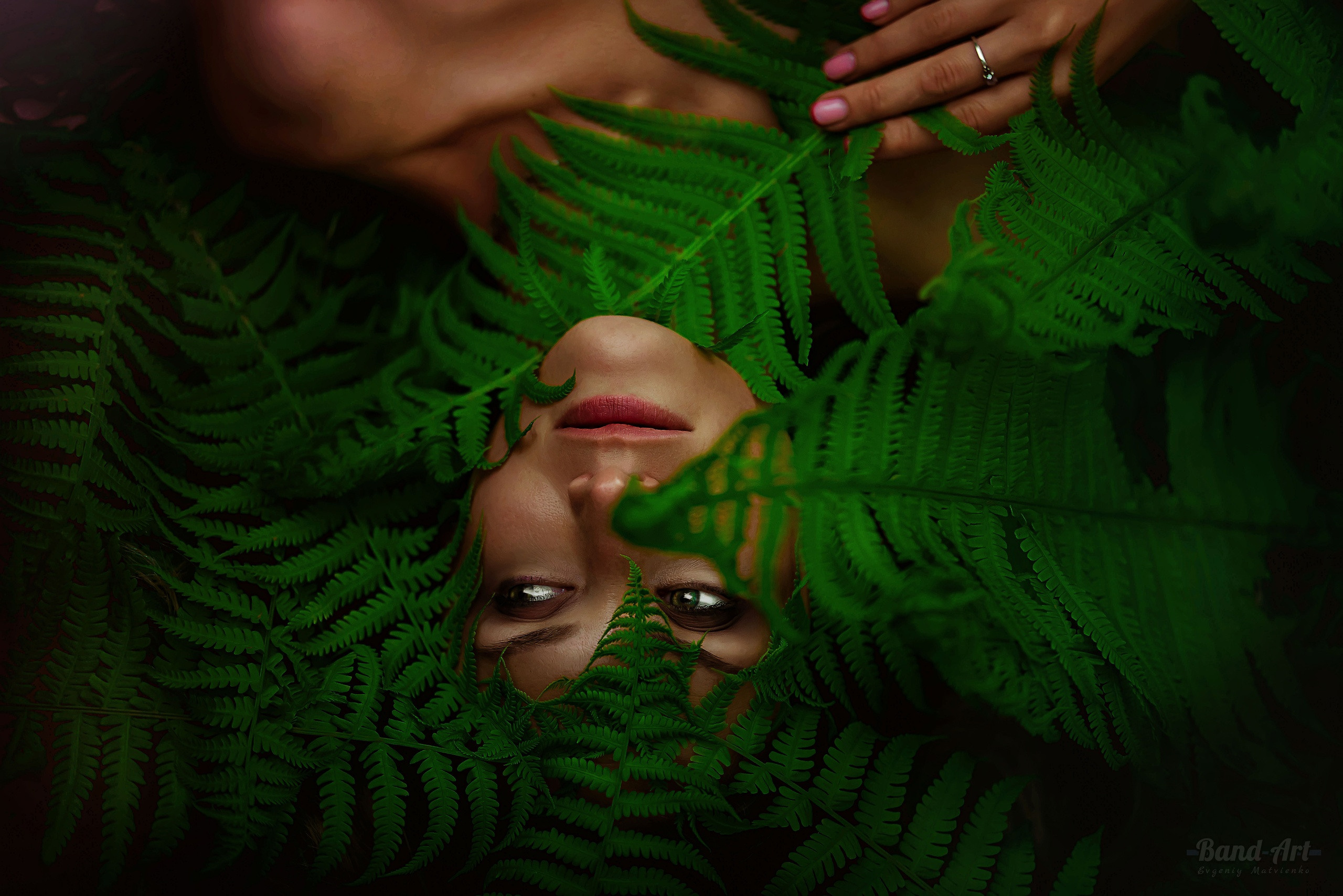 В царстве папоротников. Арт-фотограф Евгений Матвиенко