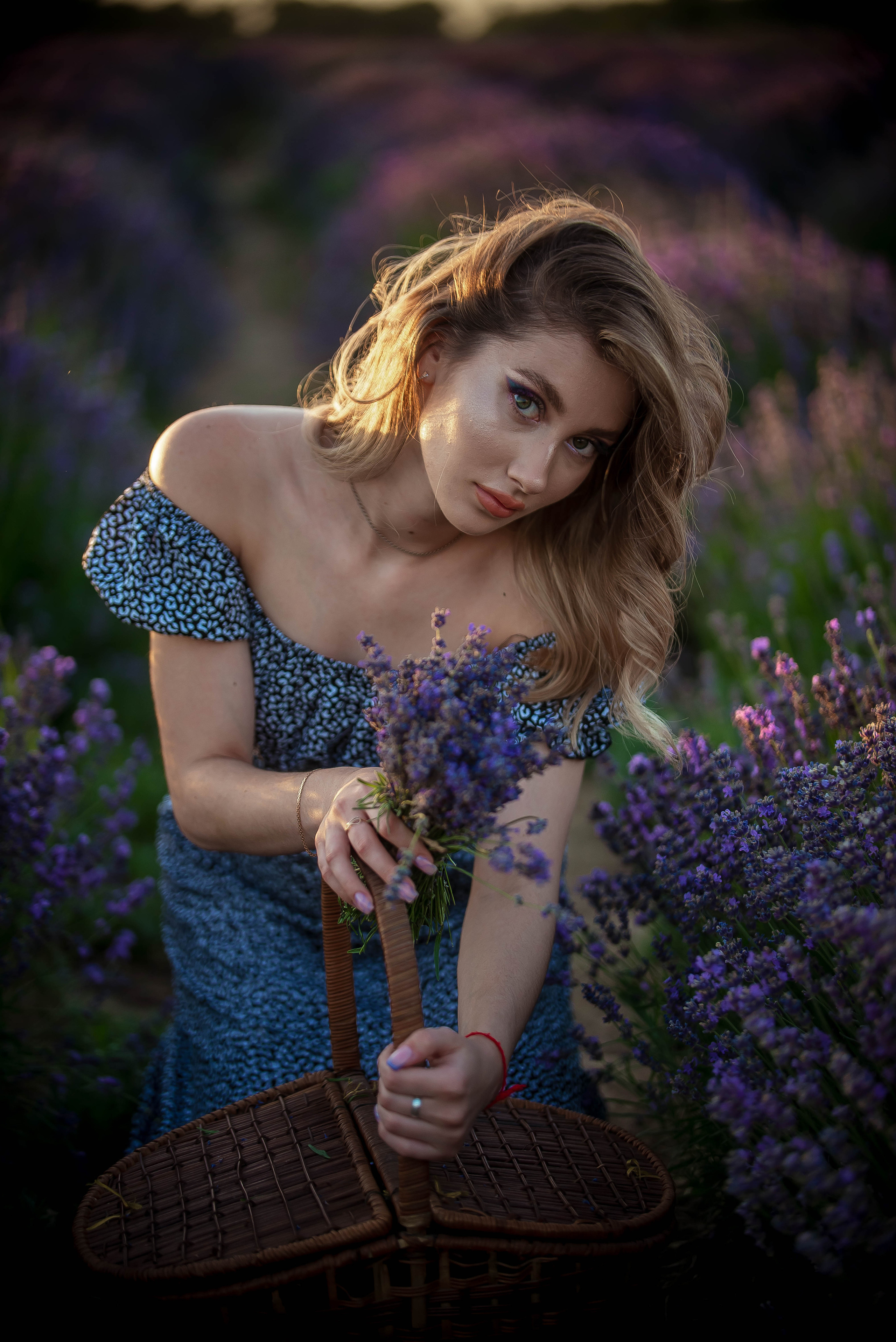 Лавандовые поля 2022. Арт-фотограф Евгений Матвиенко