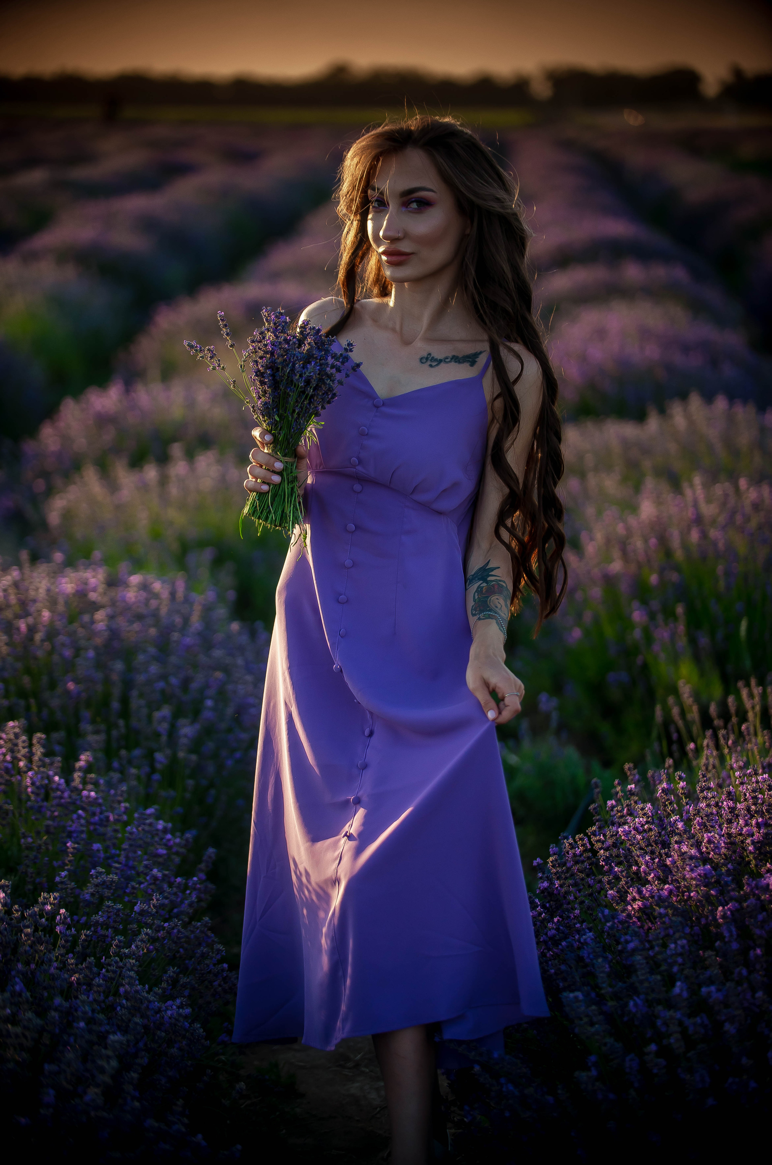 Лавандовые поля 2022. Арт-фотограф Евгений Матвиенко