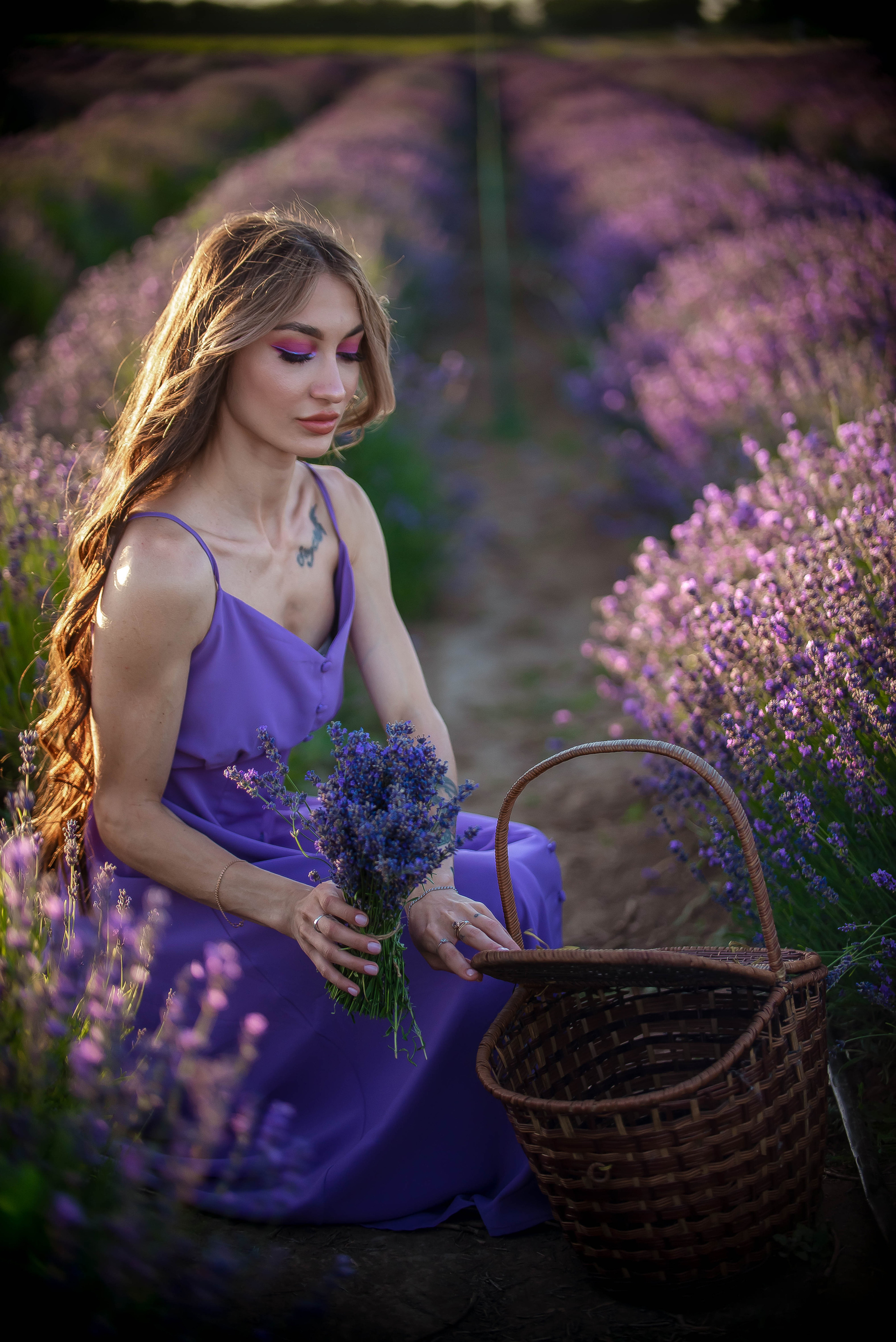 Лавандовые поля 2022. Арт-фотограф Евгений Матвиенко