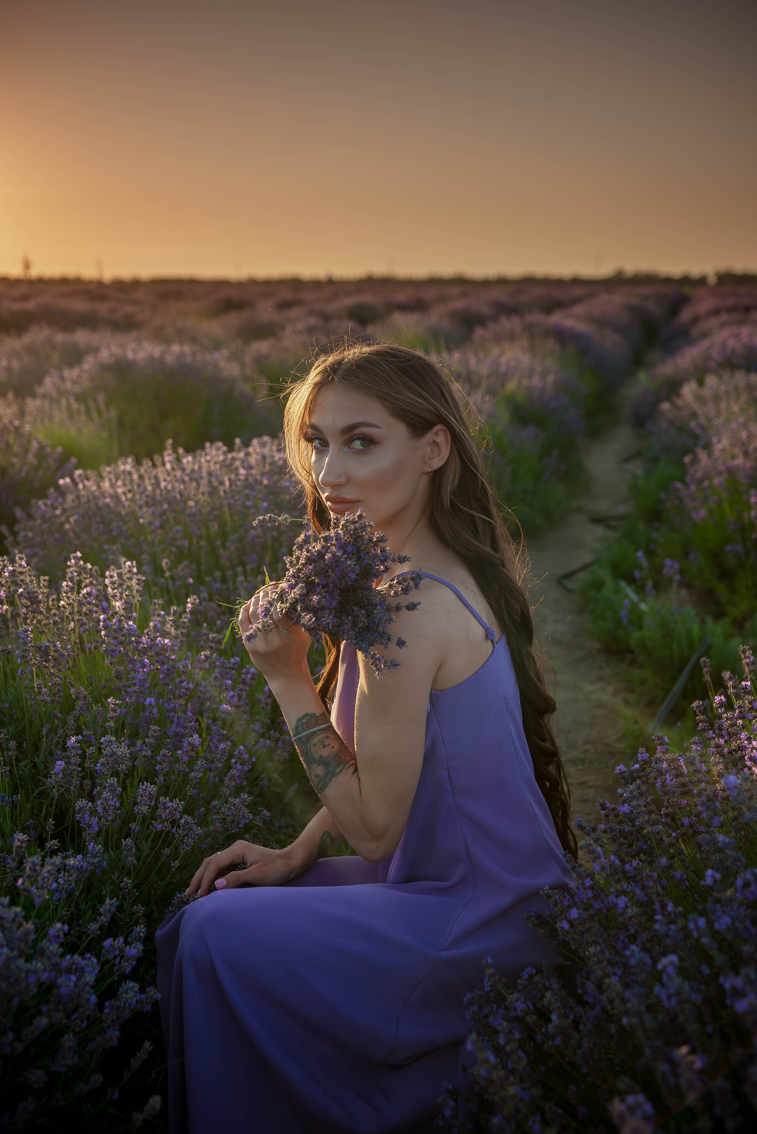 Лавандовые поля 2022. Арт-фотограф Евгений Матвиенко