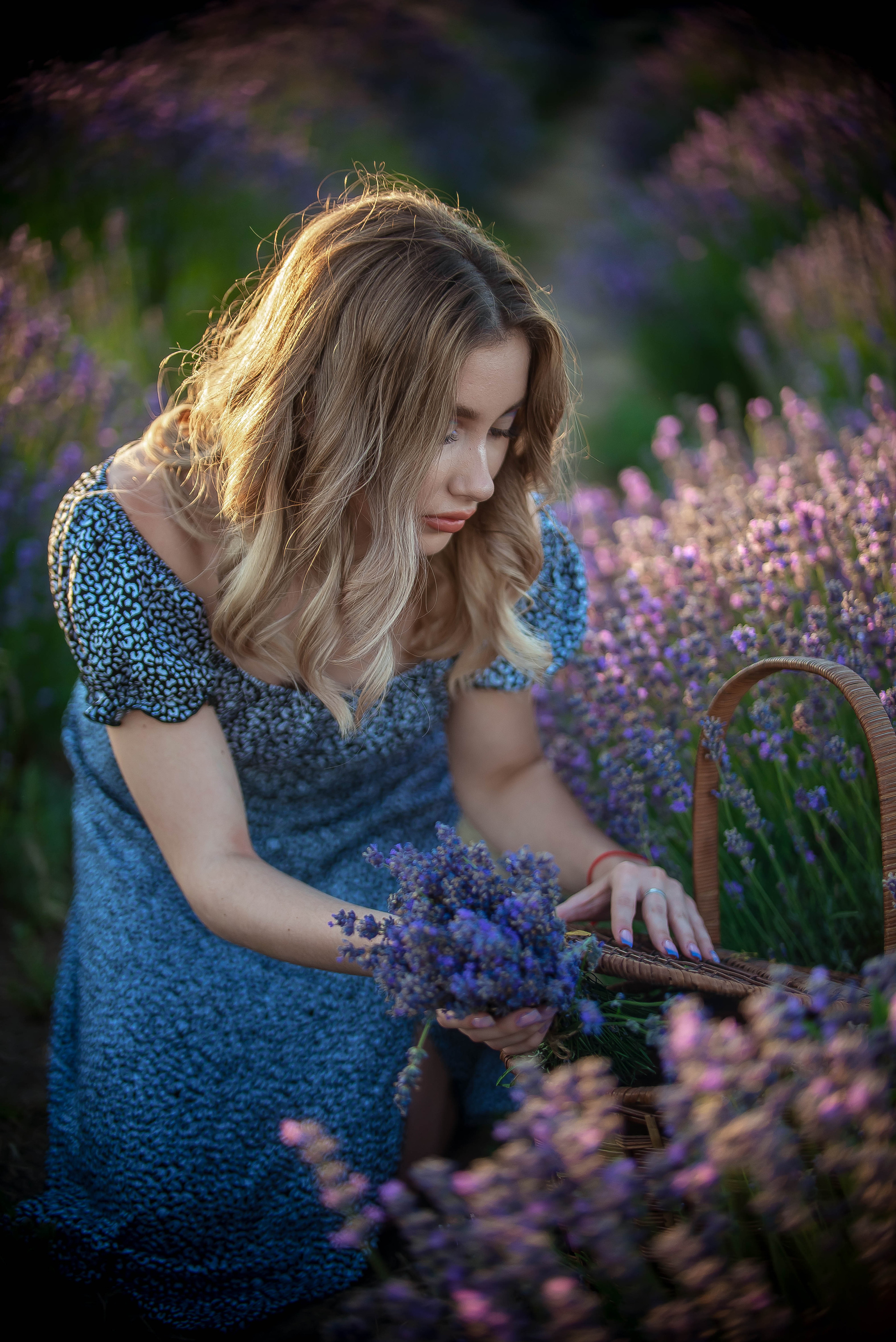 Лавандовые поля 2022. Арт-фотограф Евгений Матвиенко