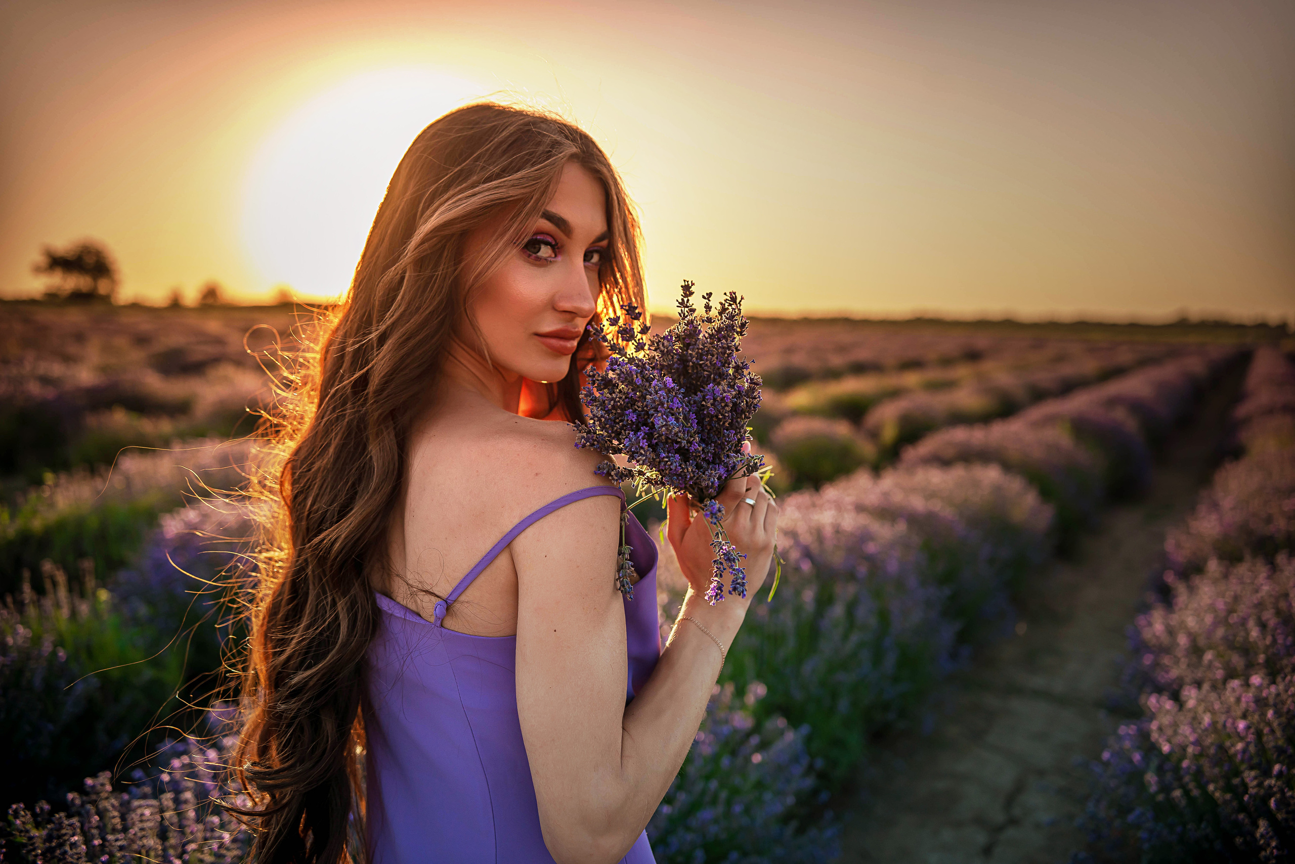 Лавандовые поля 2022. Арт-фотограф Евгений Матвиенко