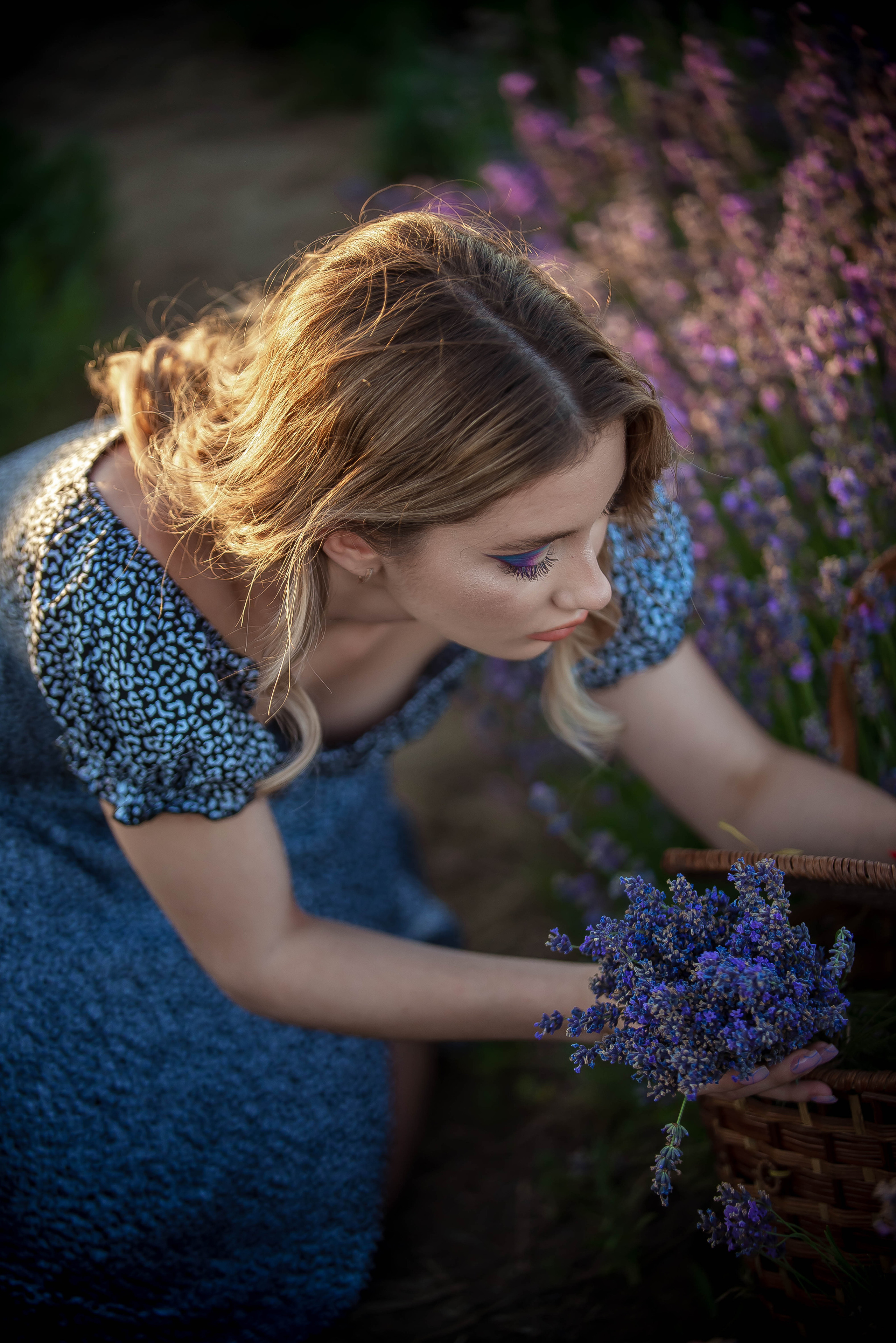 Лавандовые поля 2022. Арт-фотограф Евгений Матвиенко