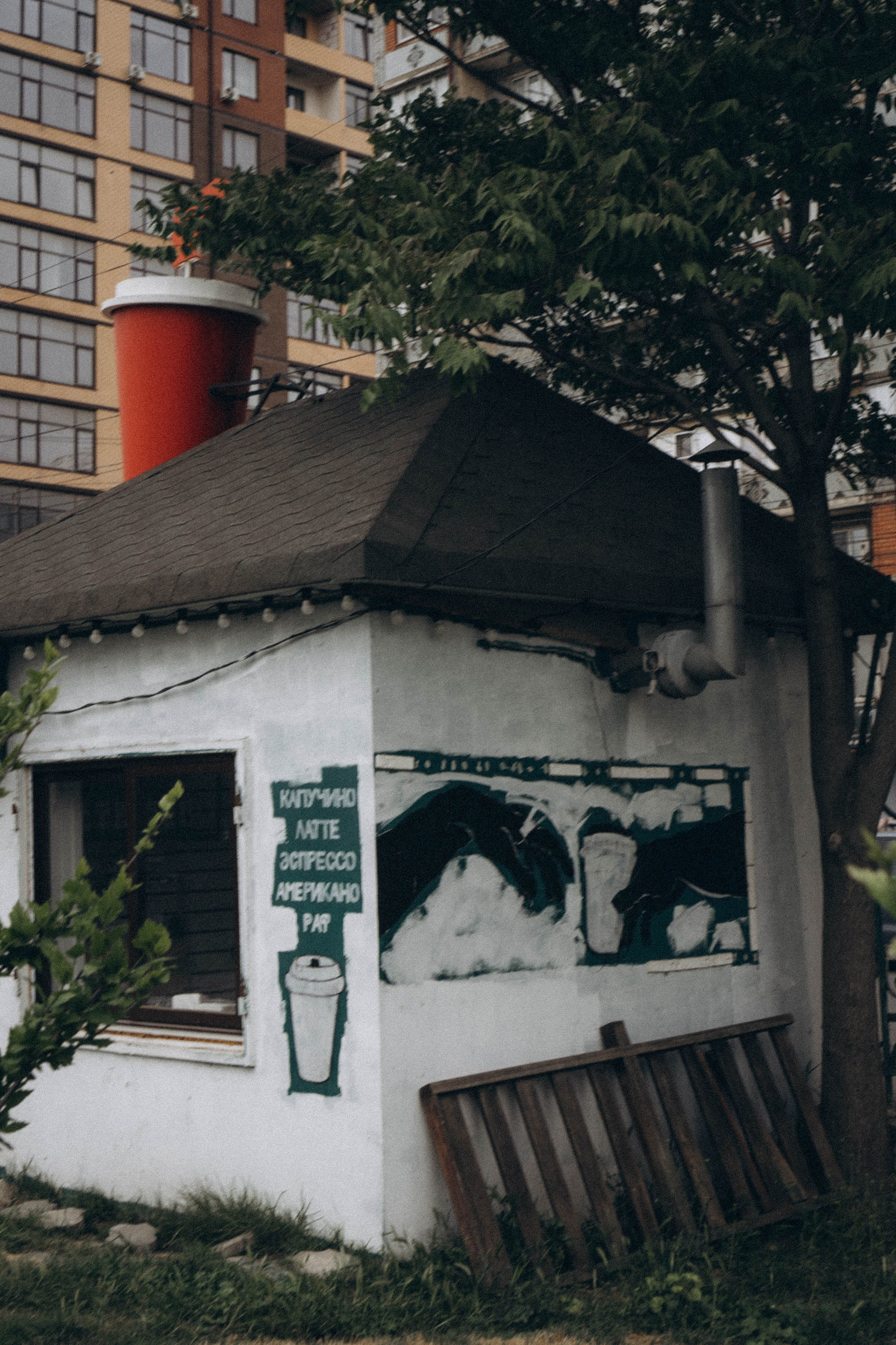 Кавказ. Профессиональный фотограф, Санкт-Петербург — Виктория Богомолова