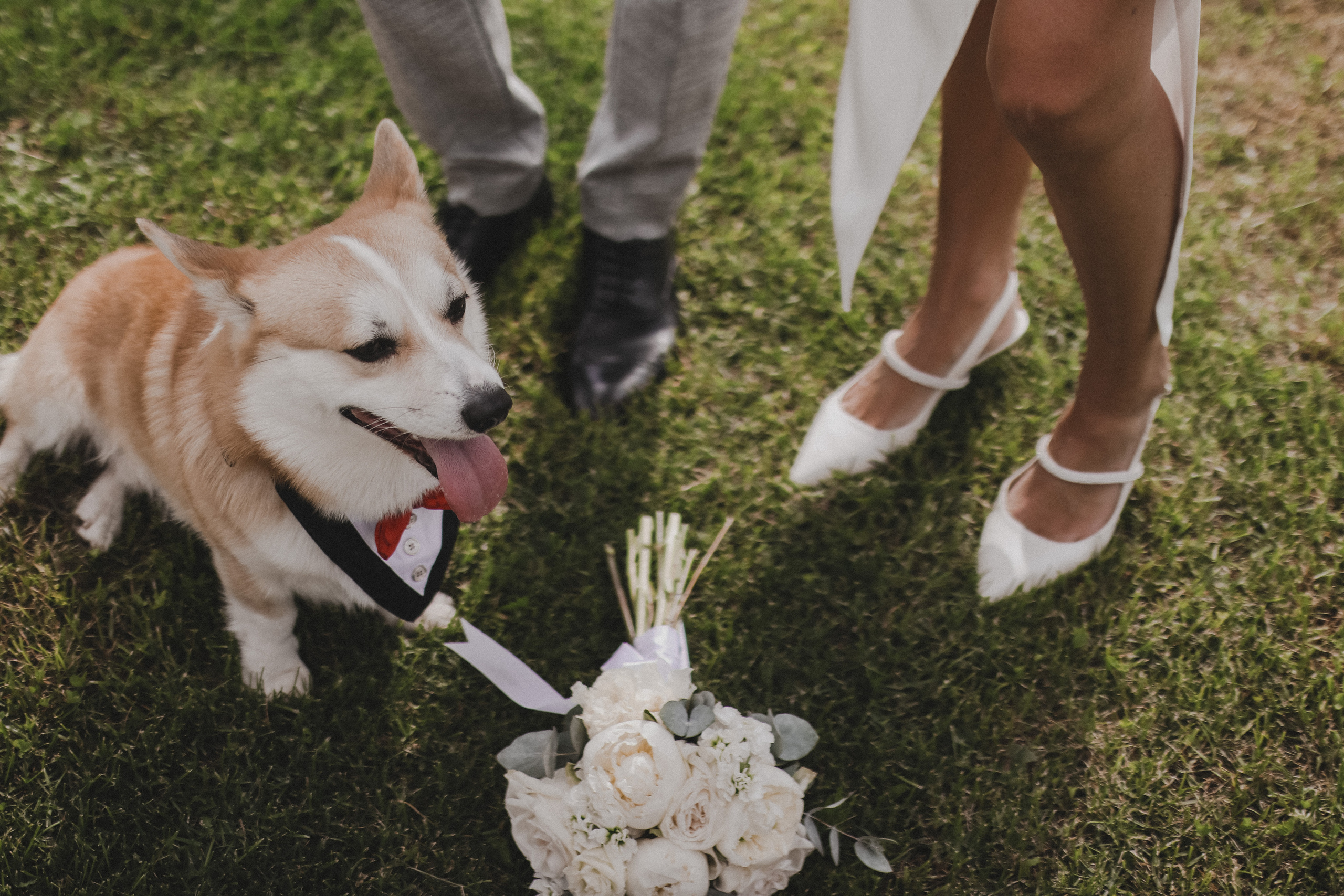 Ирина и Игорь. Оксана Чистова свадебный фотограф | Москва и Питер